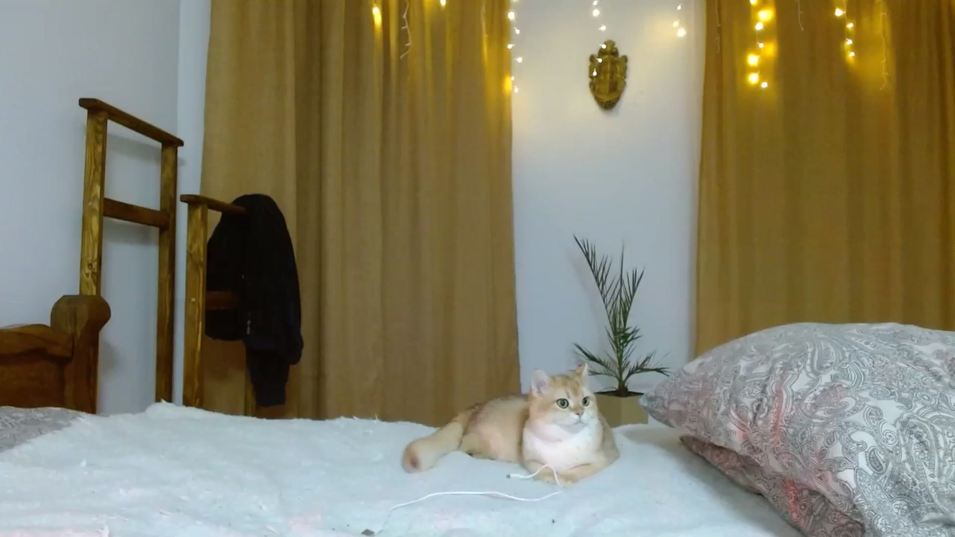 Gallery image thumbnail from UGLYGIRL_'s myfreecams stream on, 01/13/2024, 03:10 image 2 of 20