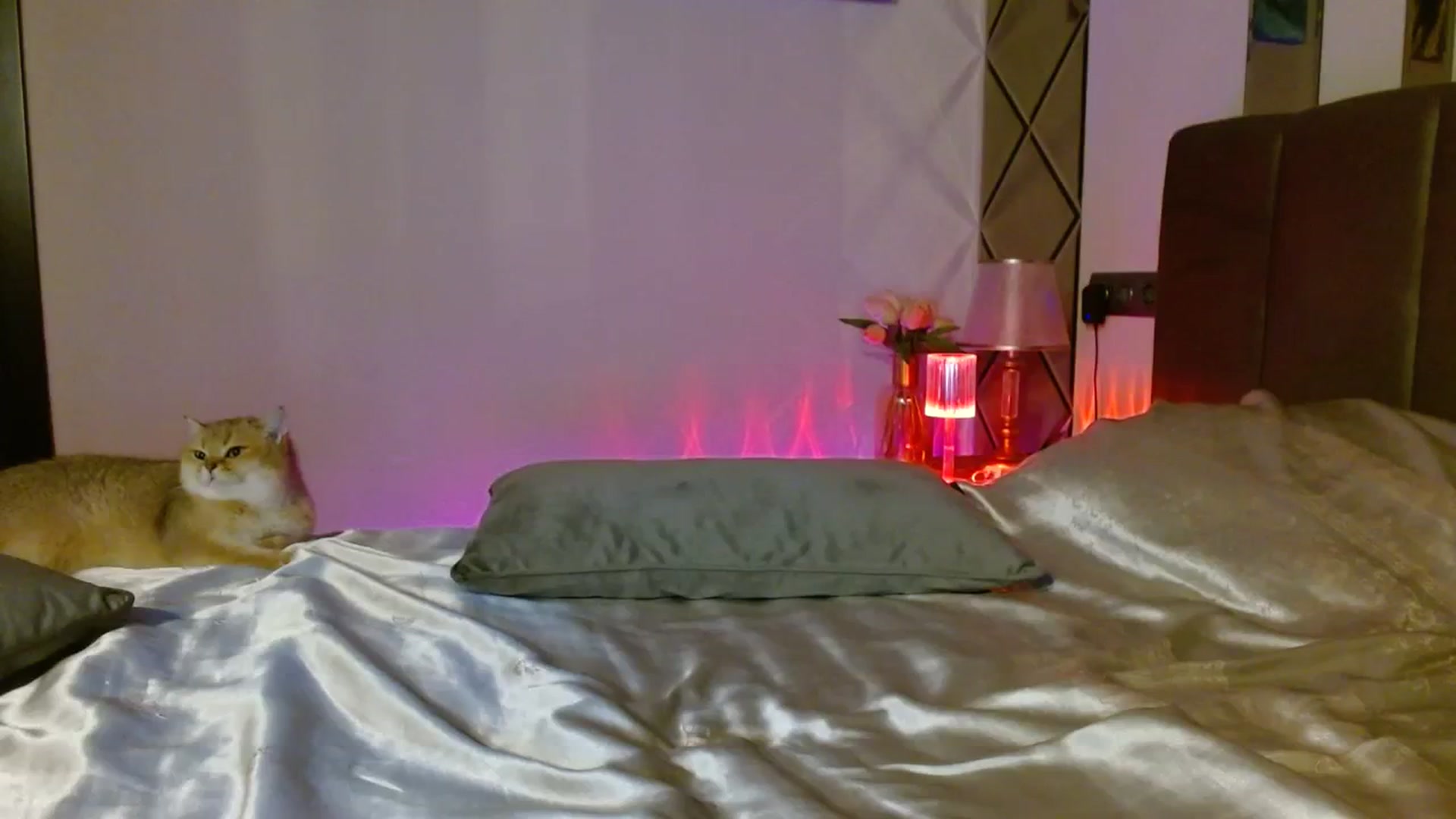 Gallery image thumbnail from UGLYGIRL_'s myfreecams stream on, 01/16/2024, 05:45 image 3 of 20
