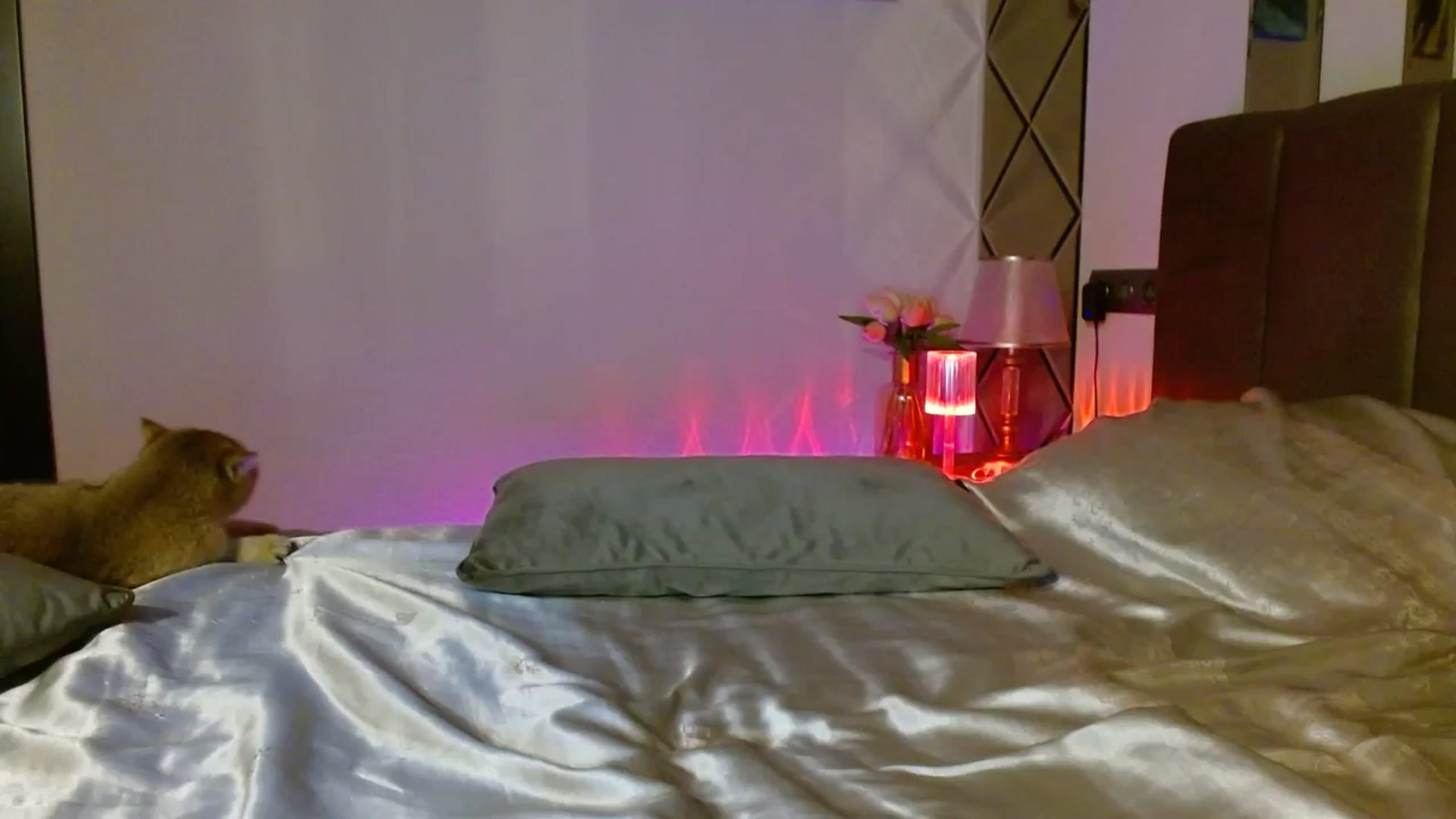 Gallery image thumbnail from UGLYGIRL_'s myfreecams stream on, 01/16/2024, 05:45 image 2 of 20