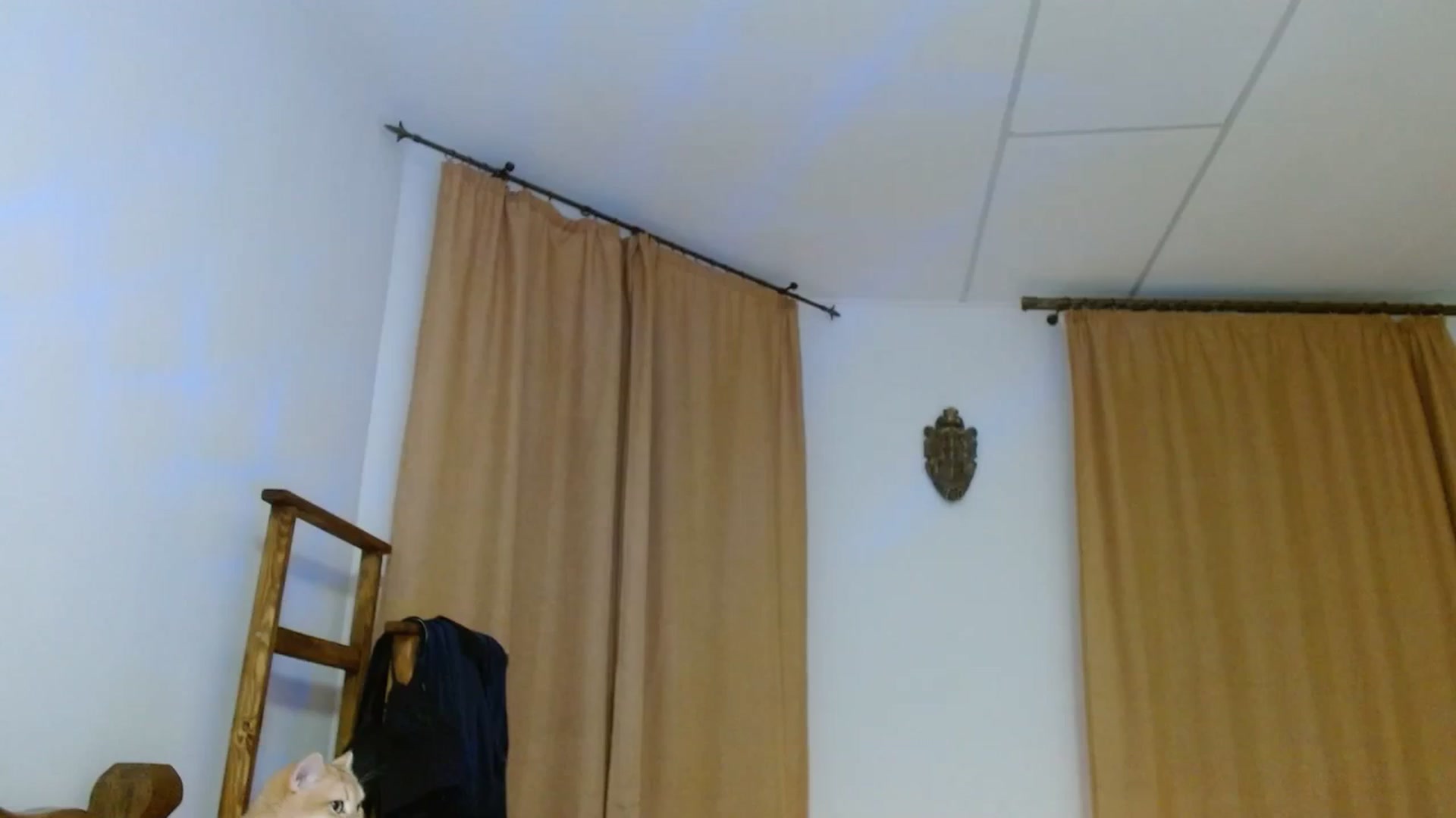 Gallery image thumbnail from UGLYGIRL_'s myfreecams stream on, 02/09/2024, 02:37 image 1 of 20