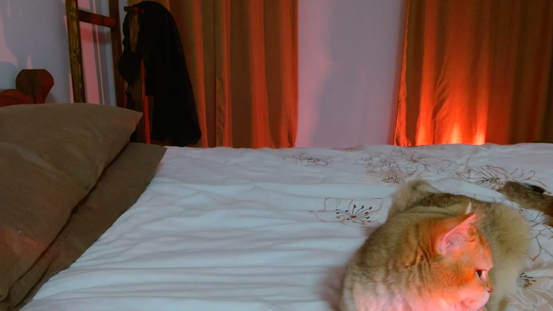 Gallery image thumbnail from UGLYGIRL_'s myfreecams stream on, 02/13/2024, 02:35 image 10 of 20