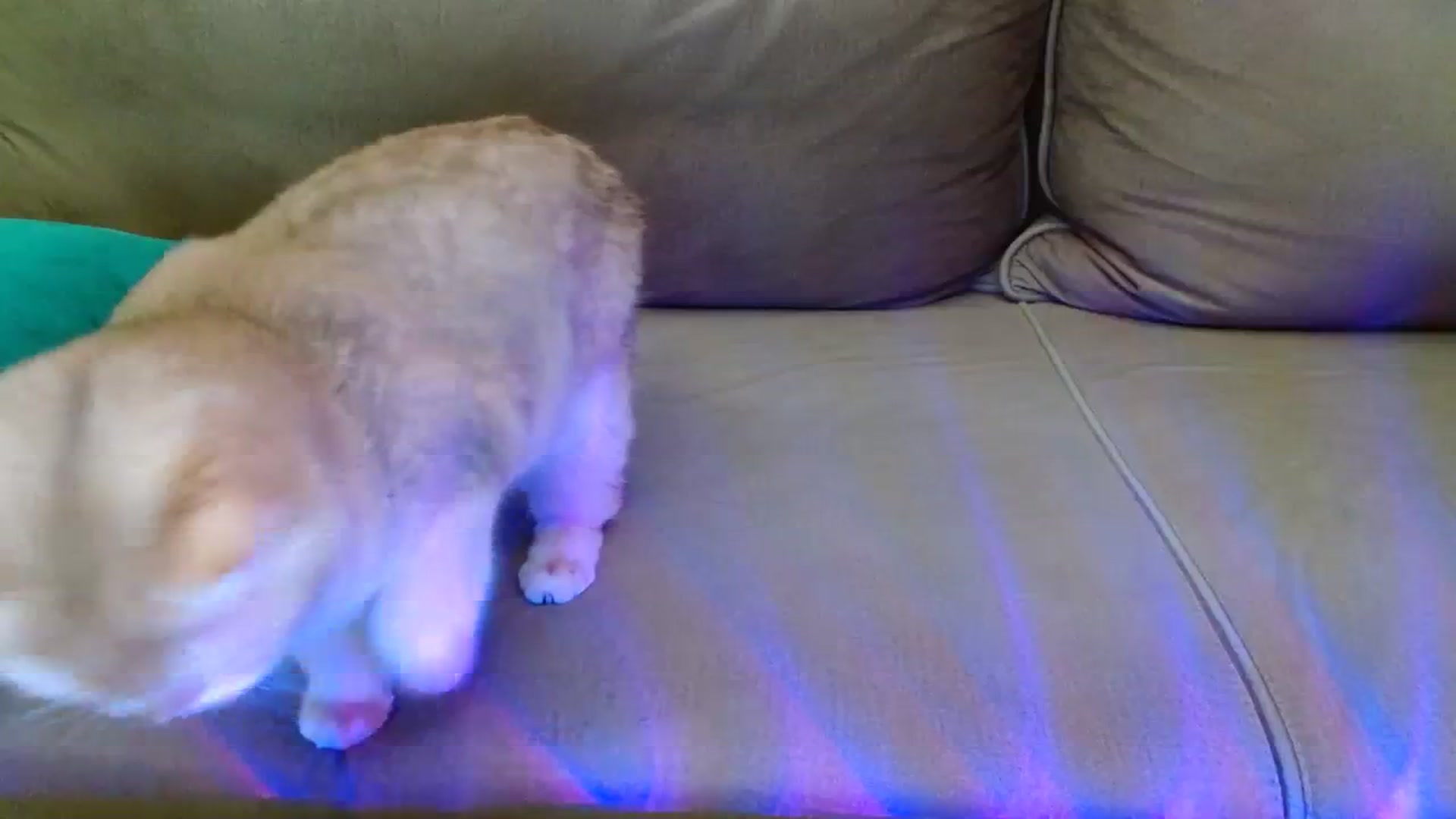 Gallery image thumbnail from UGLYGIRL_'s myfreecams stream on, 02/19/2024, 04:02 image 20 of 20