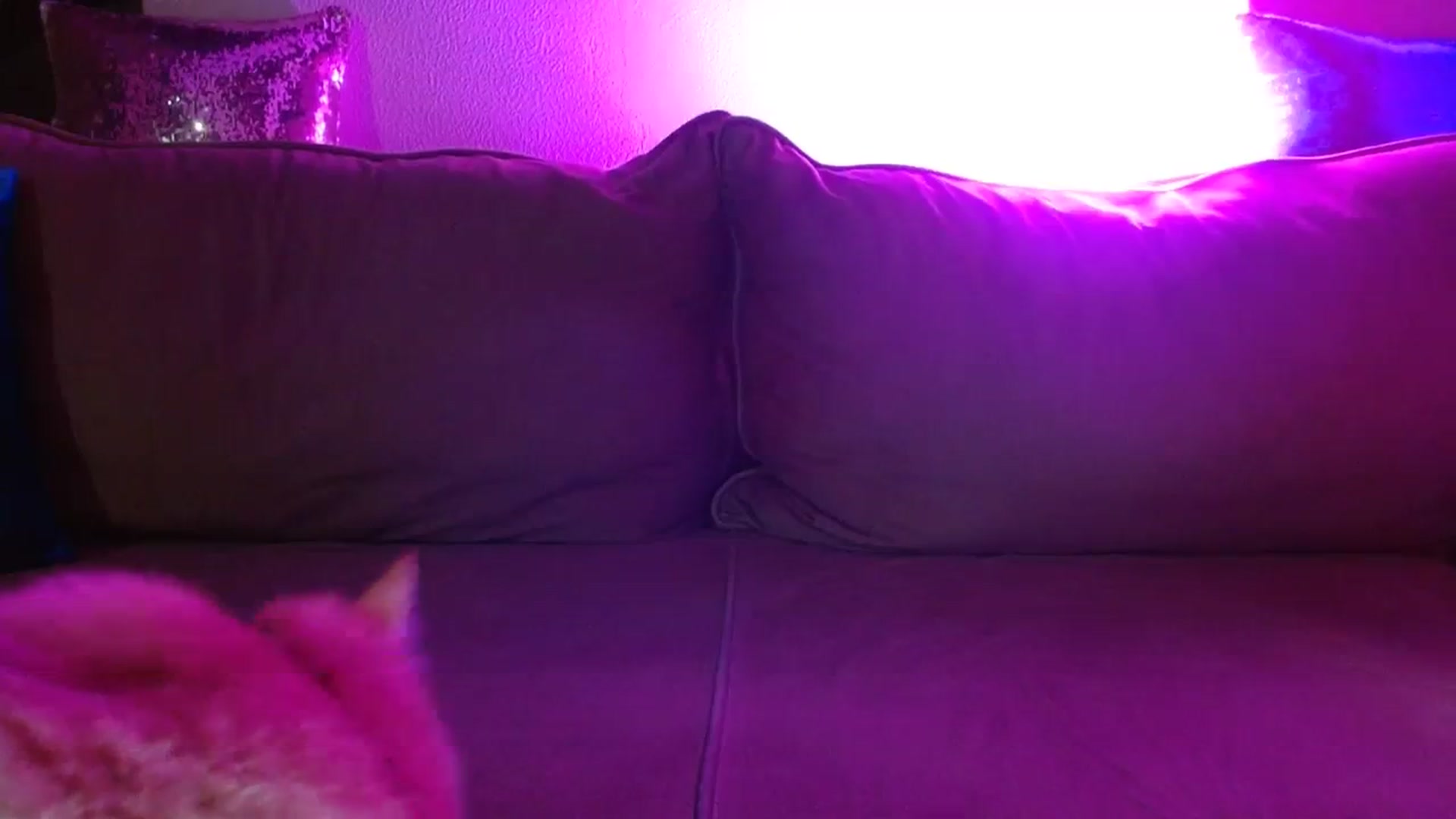 Gallery image thumbnail from UGLYGIRL_'s myfreecams stream on, 02/20/2024, 19:09 image 6 of 20