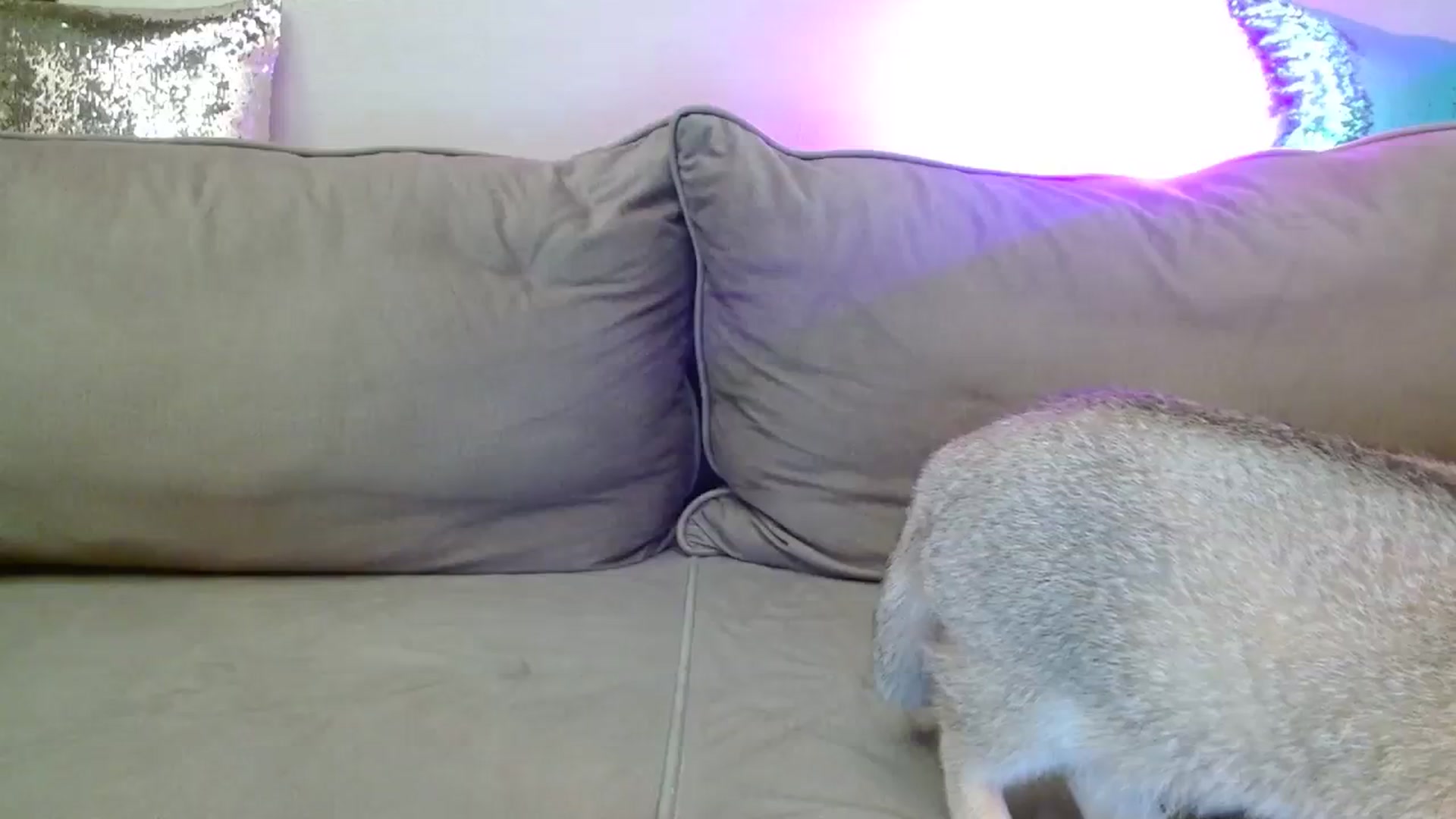 Gallery image thumbnail from UGLYGIRL_'s myfreecams stream on, 02/20/2024, 20:20 image 20 of 20
