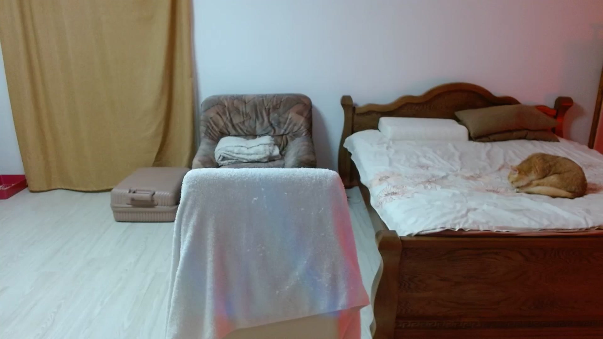 Gallery image thumbnail from UGLYGIRL_'s myfreecams stream on, 03/06/2024, 19:21 image 15 of 20