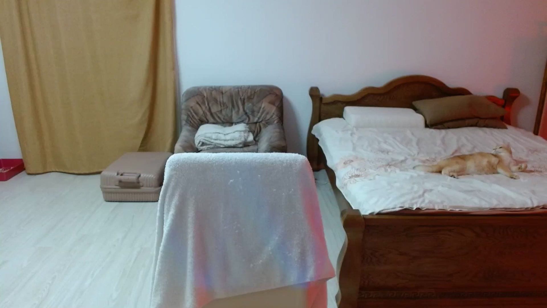 Gallery image thumbnail from UGLYGIRL_'s myfreecams stream on, 03/06/2024, 19:21 image 14 of 20