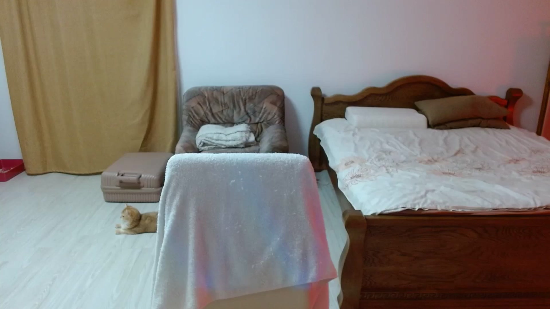 Gallery image thumbnail from UGLYGIRL_'s myfreecams stream on, 03/06/2024, 19:21 image 17 of 20