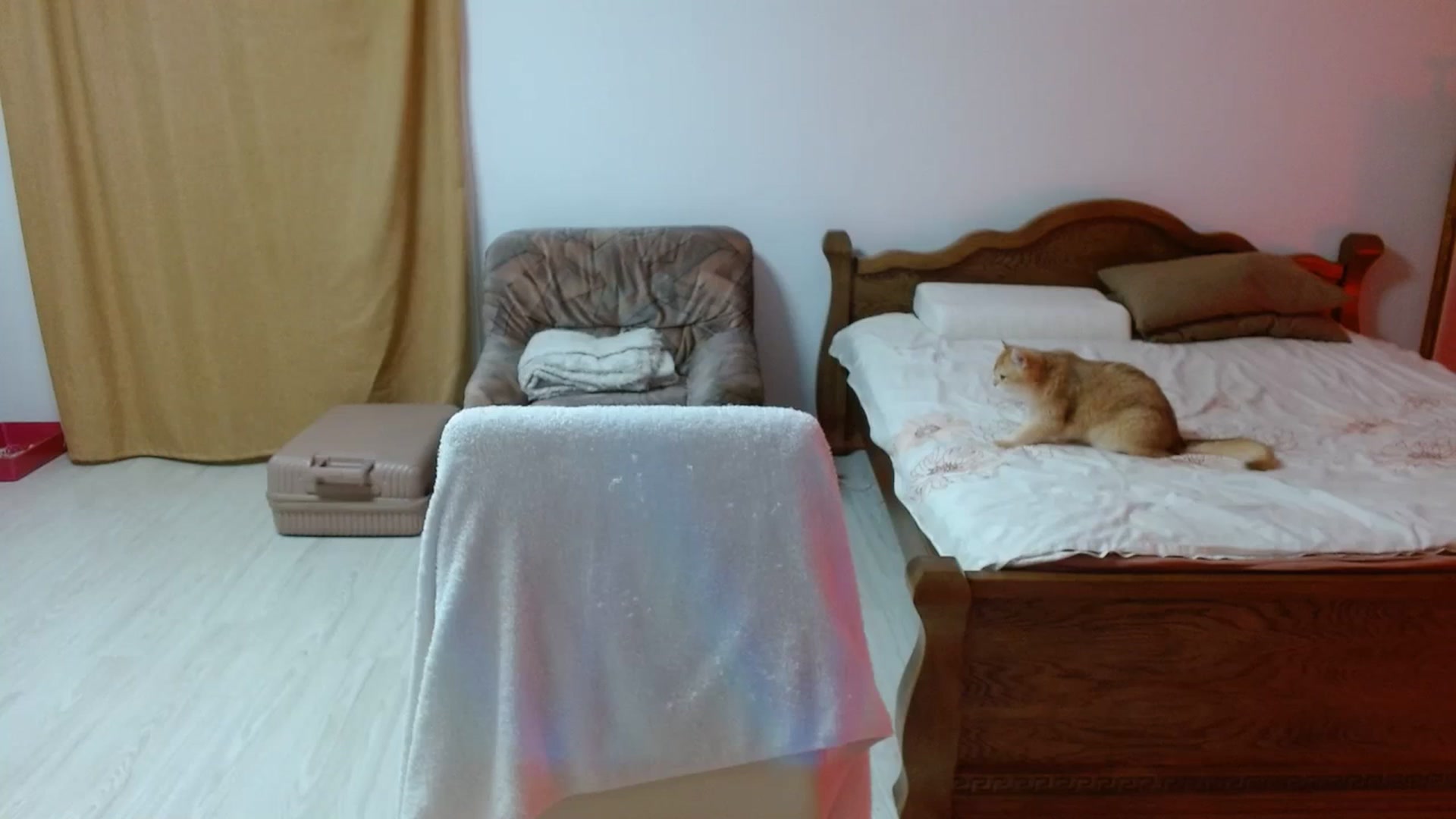 Gallery image thumbnail from UGLYGIRL_'s myfreecams stream on, 03/06/2024, 19:21 image 16 of 20