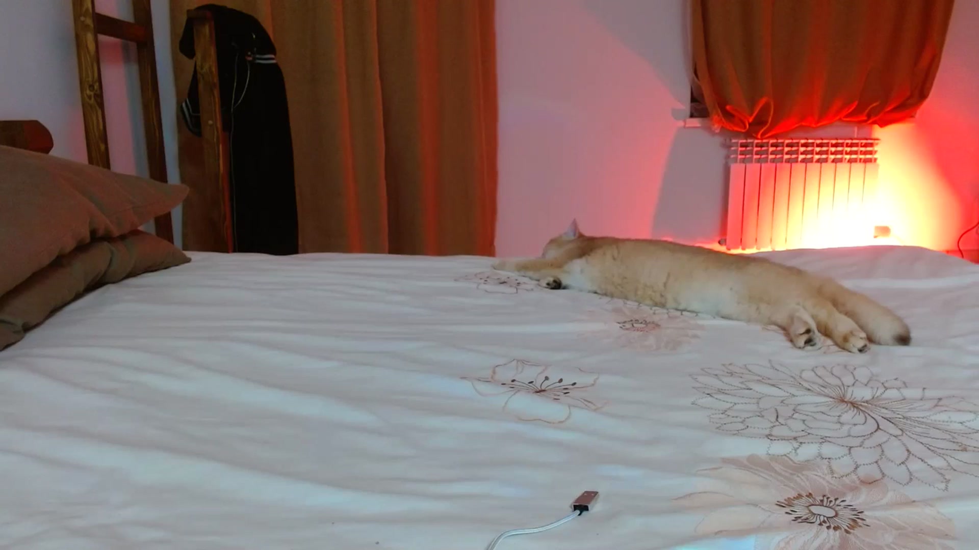 Gallery image thumbnail from UGLYGIRL_'s myfreecams stream on, 03/06/2024, 20:28 image 7 of 20