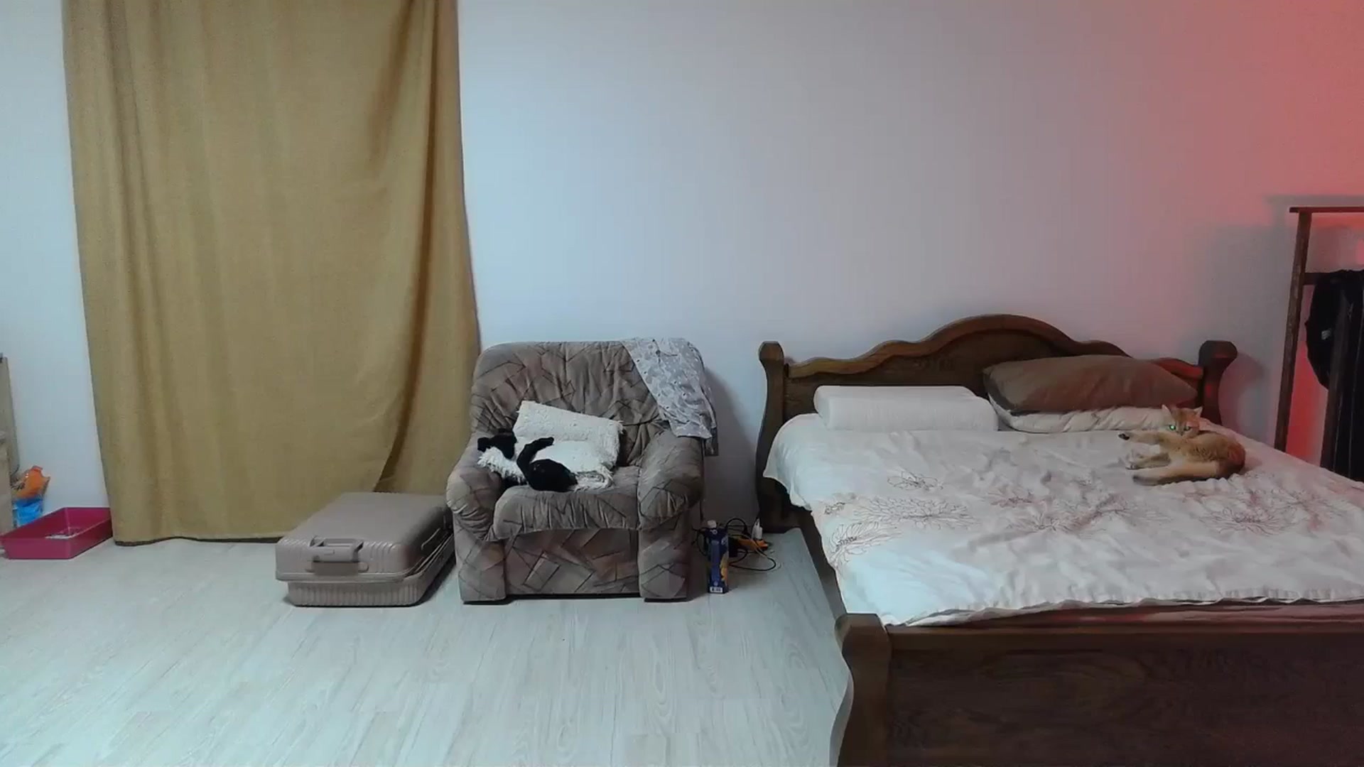 Gallery image thumbnail from UGLYGIRL_'s myfreecams stream on, 03/09/2024, 20:36 image 1 of 20