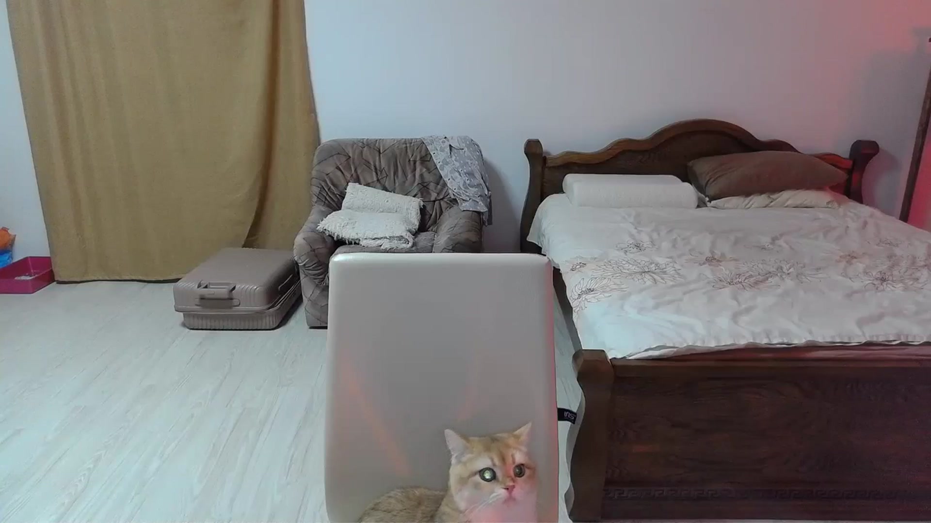 Gallery image thumbnail from UGLYGIRL_'s myfreecams stream on, 03/09/2024, 20:36 image 6 of 20