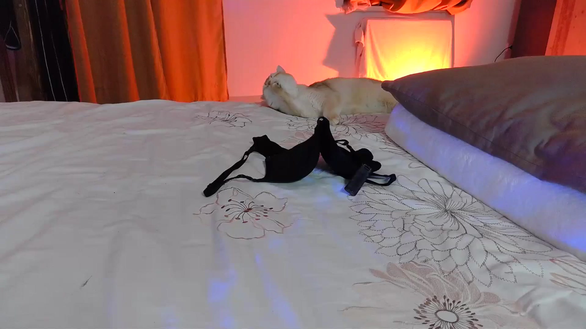 Gallery image thumbnail from UGLYGIRL_'s myfreecams stream on, 03/10/2024, 01:14 image 18 of 20