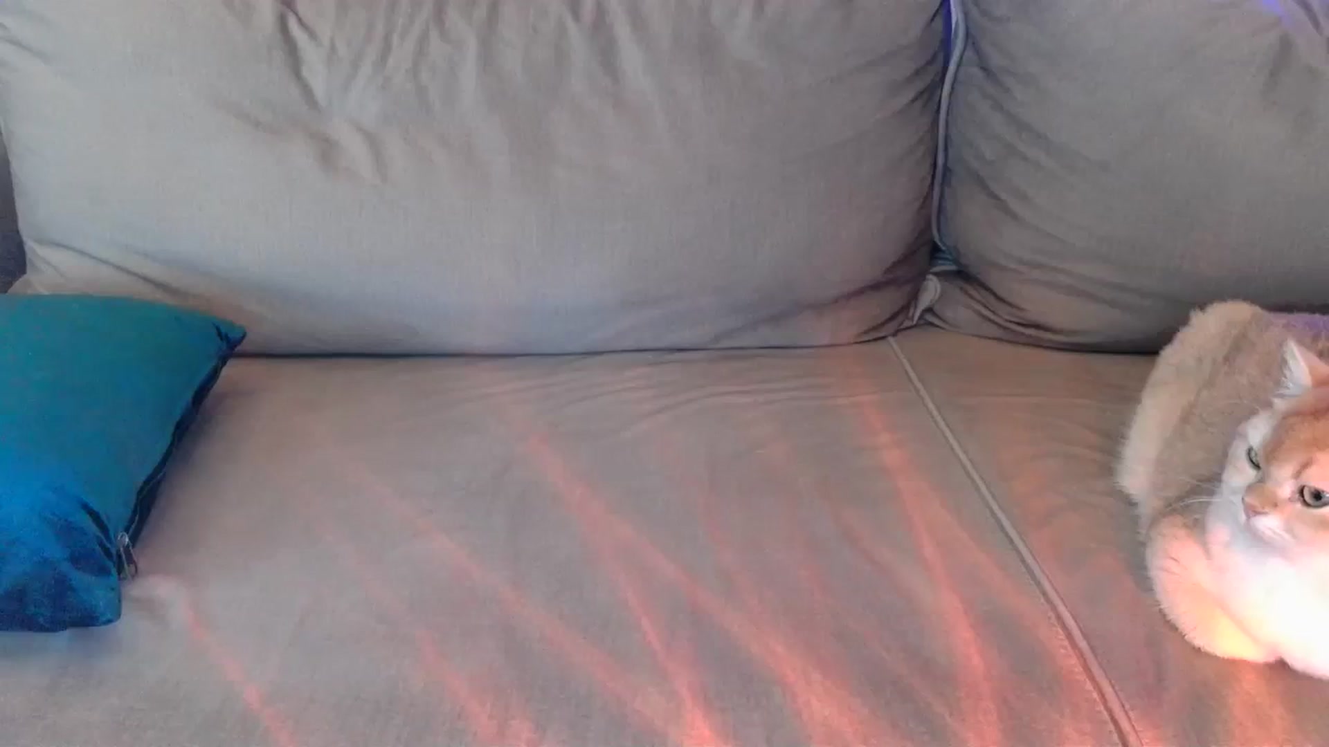Gallery image thumbnail from UGLYGIRL_'s myfreecams stream on, 03/29/2024, 05:43 image 12 of 20