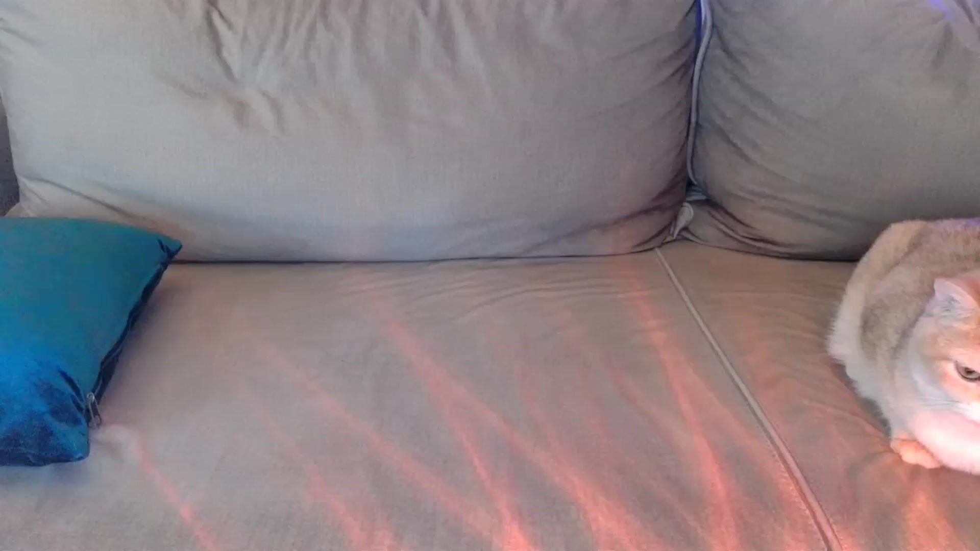 Gallery image thumbnail from UGLYGIRL_'s myfreecams stream on, 03/29/2024, 05:43 image 11 of 20