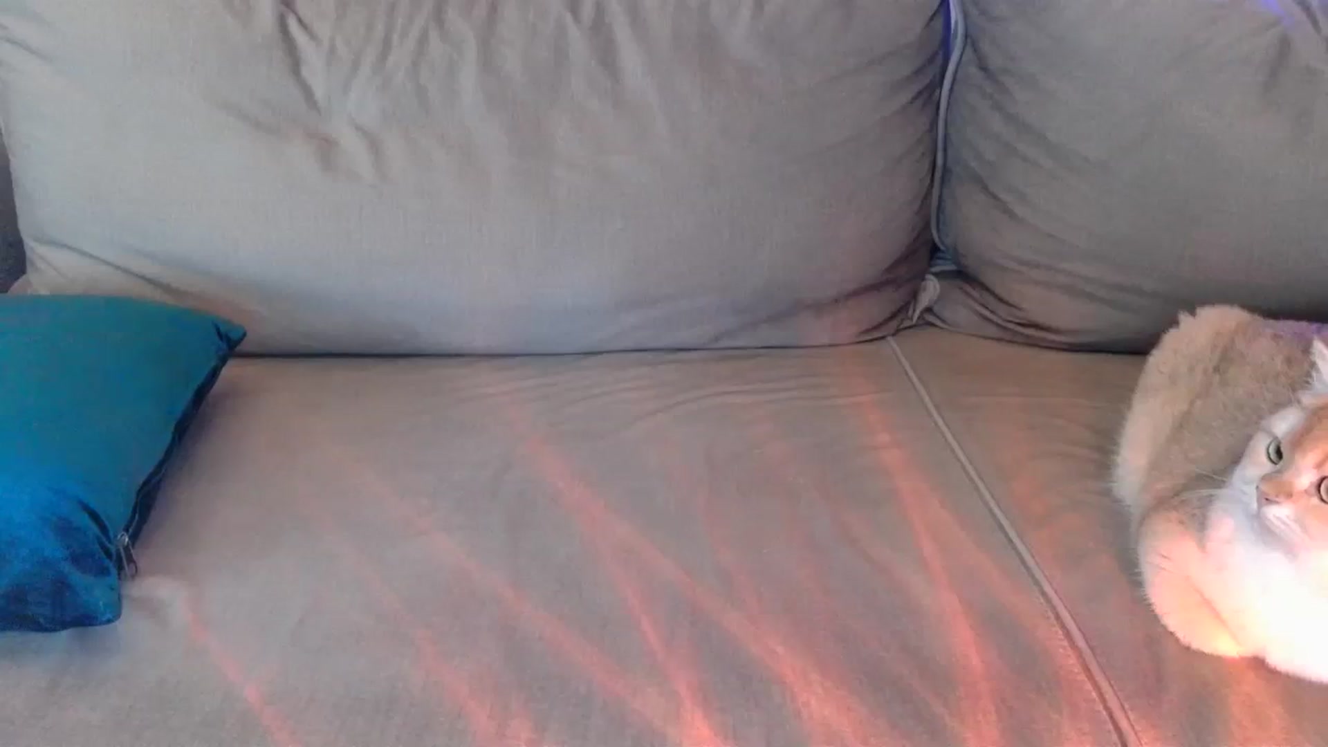Gallery image thumbnail from UGLYGIRL_'s myfreecams stream on, 03/29/2024, 05:43 image 16 of 20