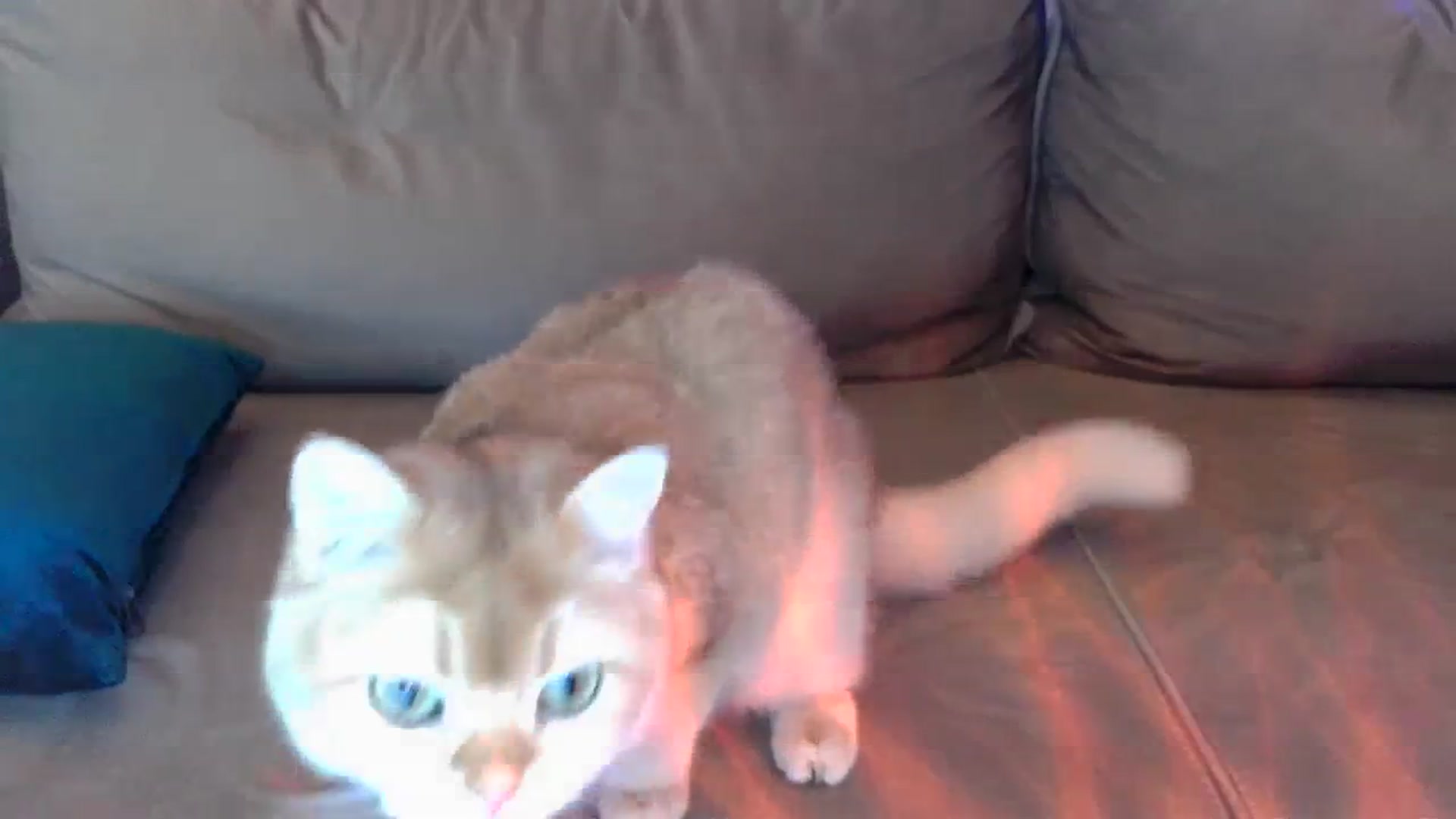 Gallery image thumbnail from UGLYGIRL_'s myfreecams stream on, 03/29/2024, 05:43 image 17 of 20
