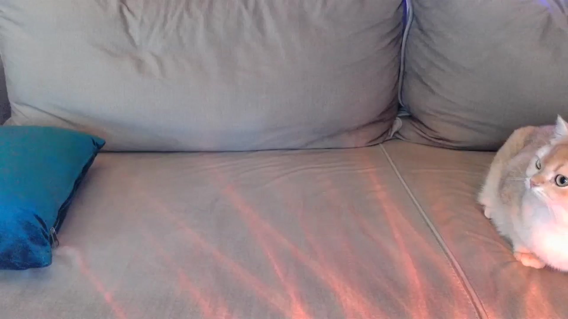 Gallery image thumbnail from UGLYGIRL_'s myfreecams stream on, 03/29/2024, 05:43 image 10 of 20