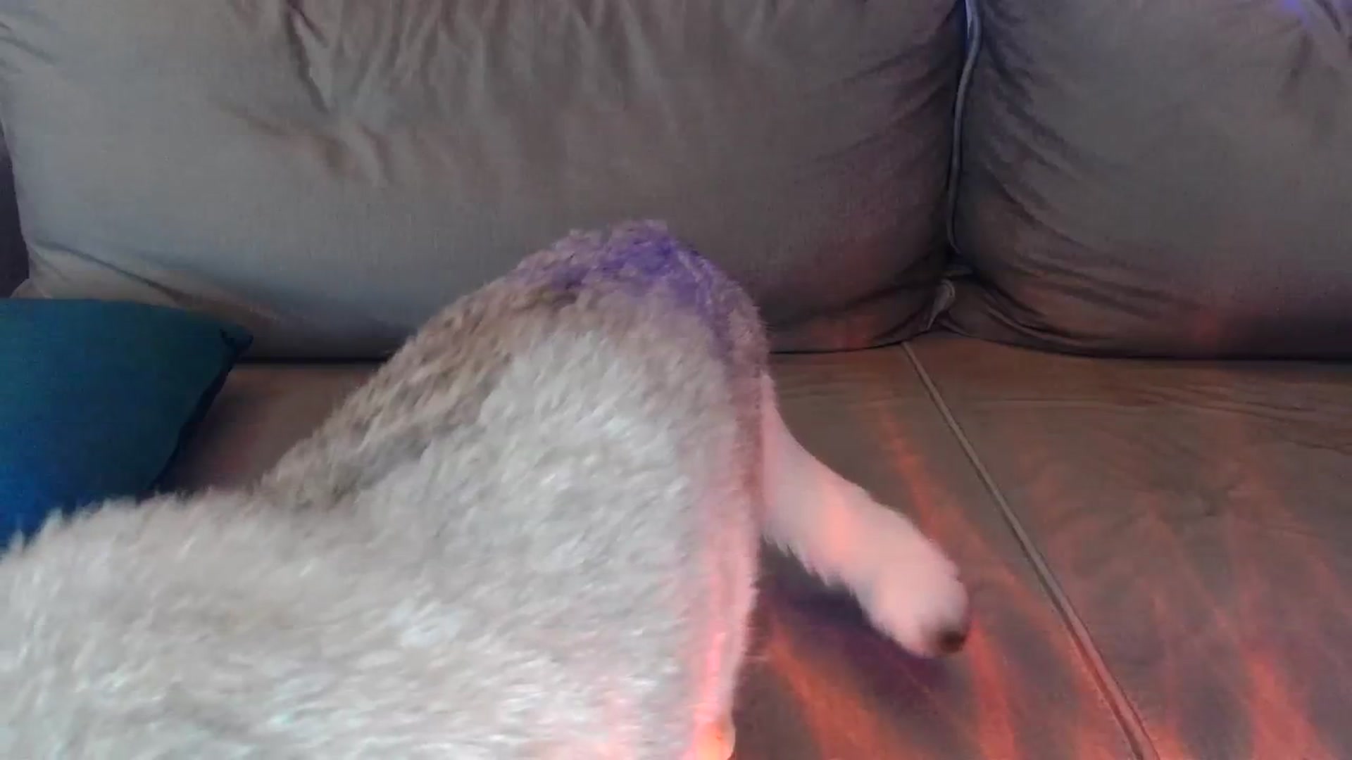 Gallery image thumbnail from UGLYGIRL_'s myfreecams stream on, 03/29/2024, 05:43 image 18 of 20