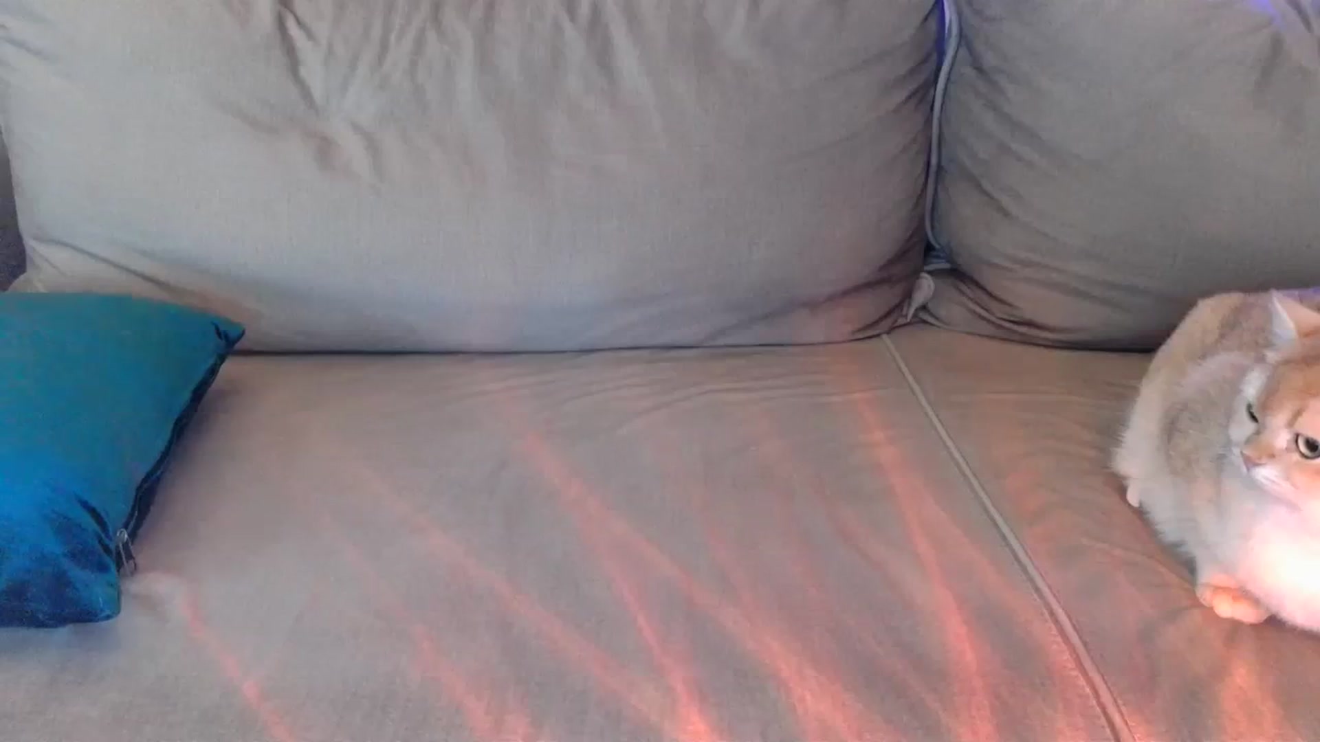Gallery image thumbnail from UGLYGIRL_'s myfreecams stream on, 03/29/2024, 05:43 image 9 of 20