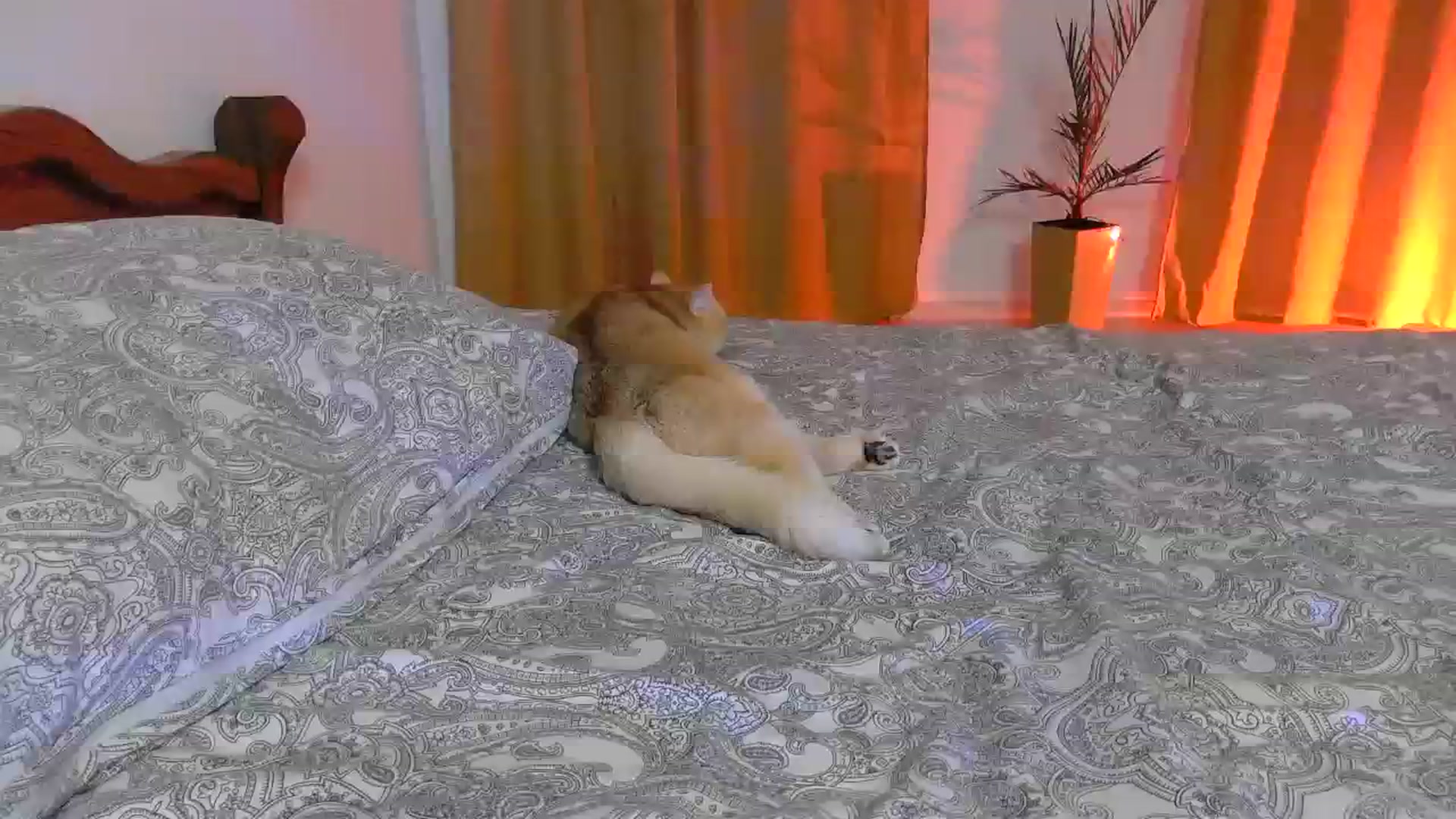 Gallery image thumbnail from UGLYGIRL_'s myfreecams stream on, 04/04/2024, 20:14 image 20 of 20