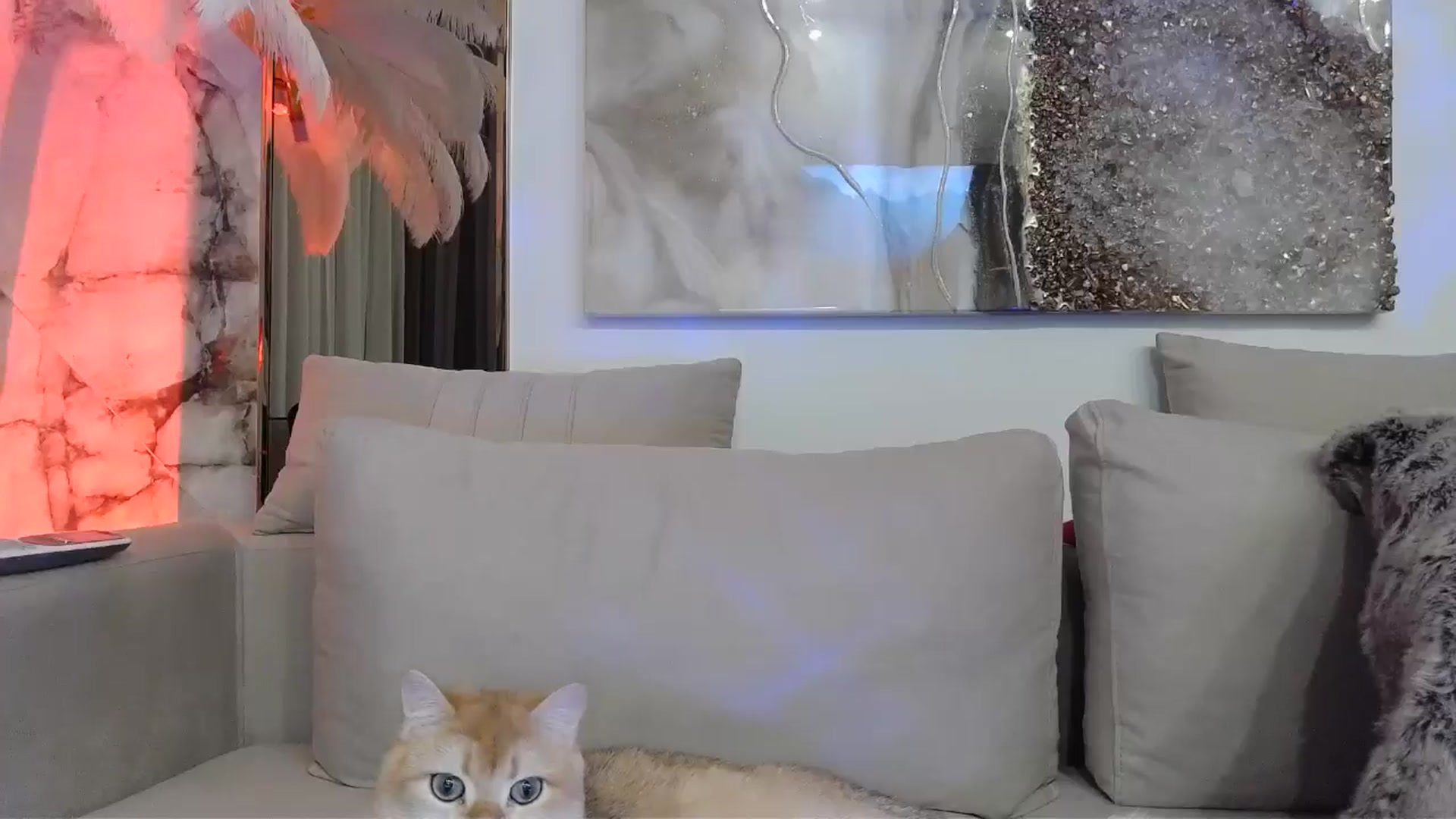 Gallery image thumbnail from UGLYGIRL_'s myfreecams stream on, 05/02/2024, 22:10 image 11 of 20