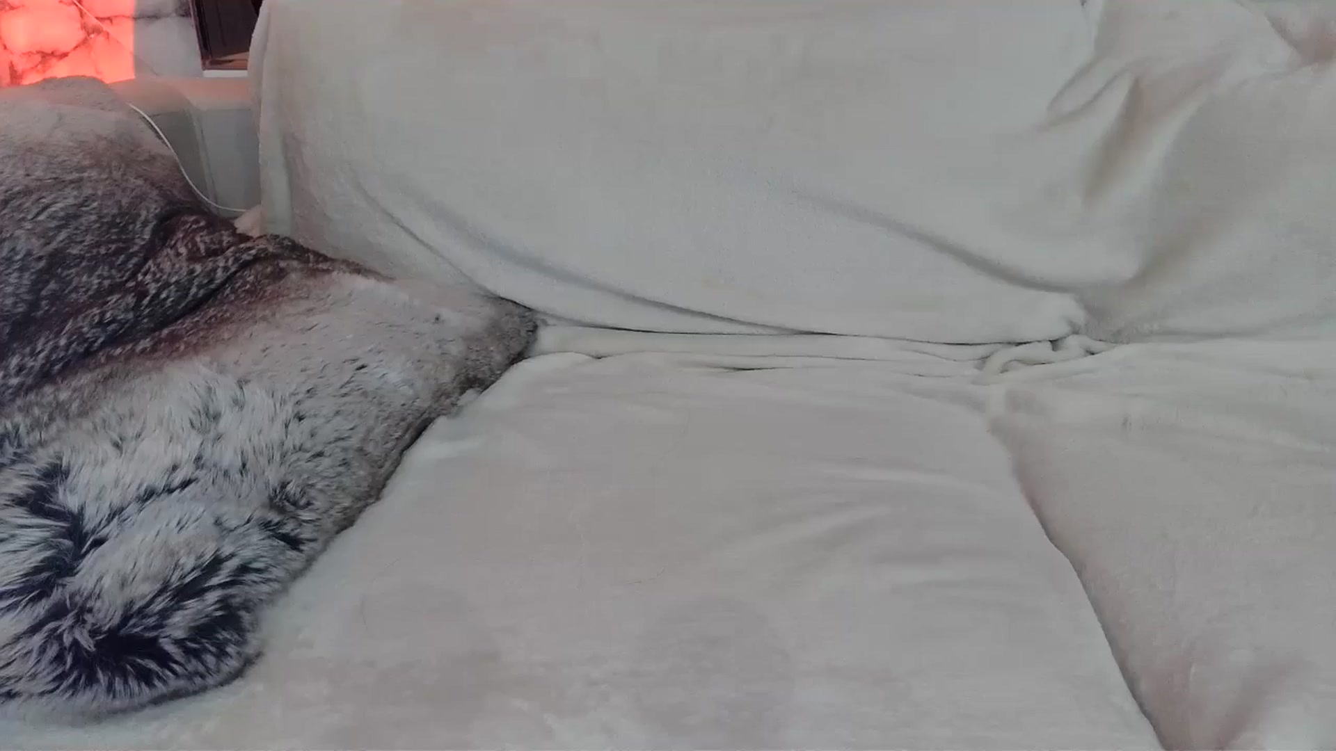 Gallery image thumbnail from UGLYGIRL_'s myfreecams stream on, 05/10/2024, 02:35 image 1 of 20