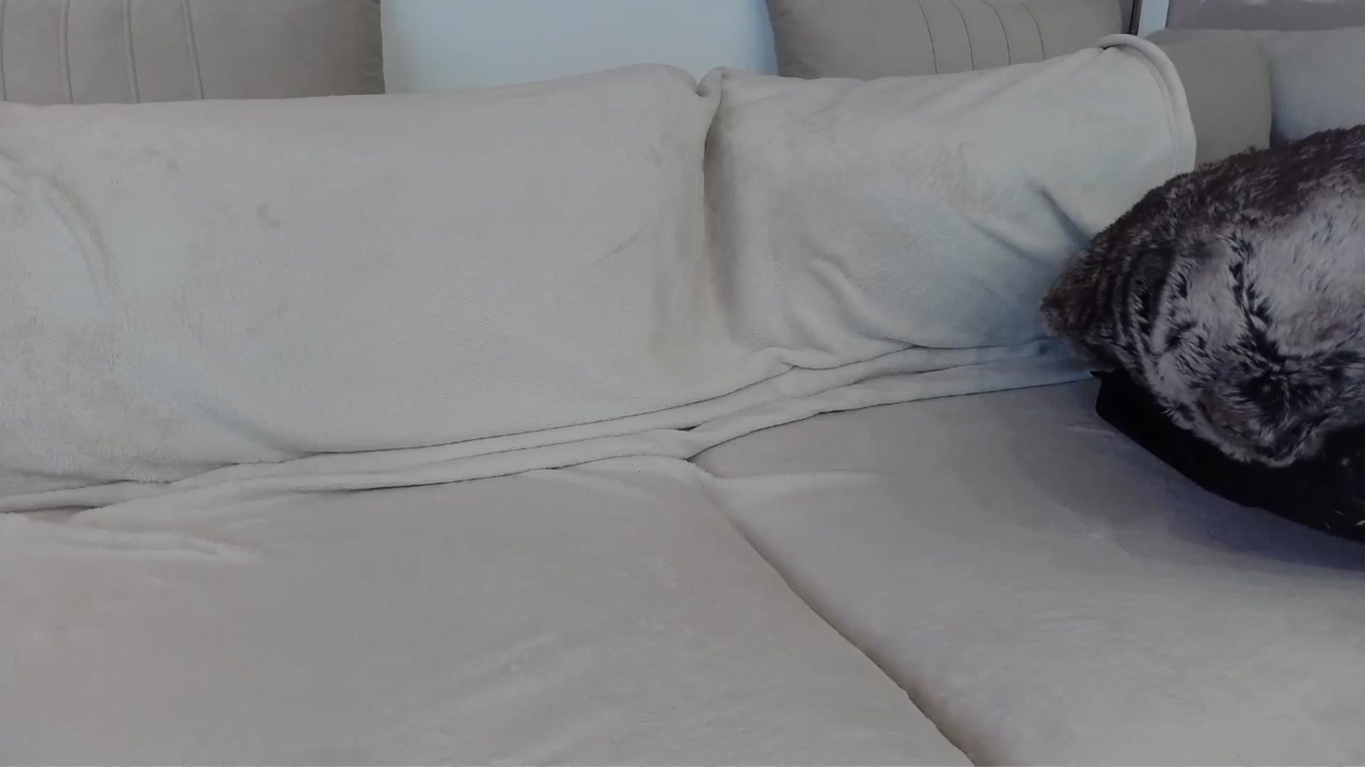 Gallery image thumbnail from UGLYGIRL_'s myfreecams stream on, 05/13/2024, 05:54 image 10 of 20