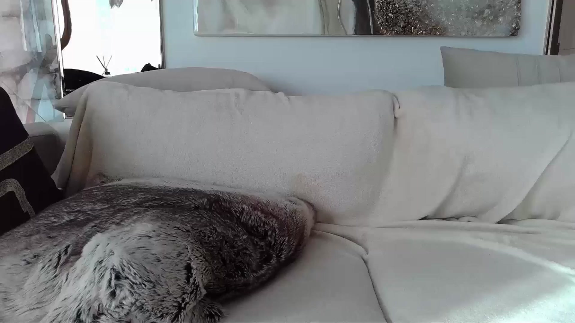 Gallery image thumbnail from UGLYGIRL_'s myfreecams stream on, 05/19/2024, 05:27 image 17 of 20