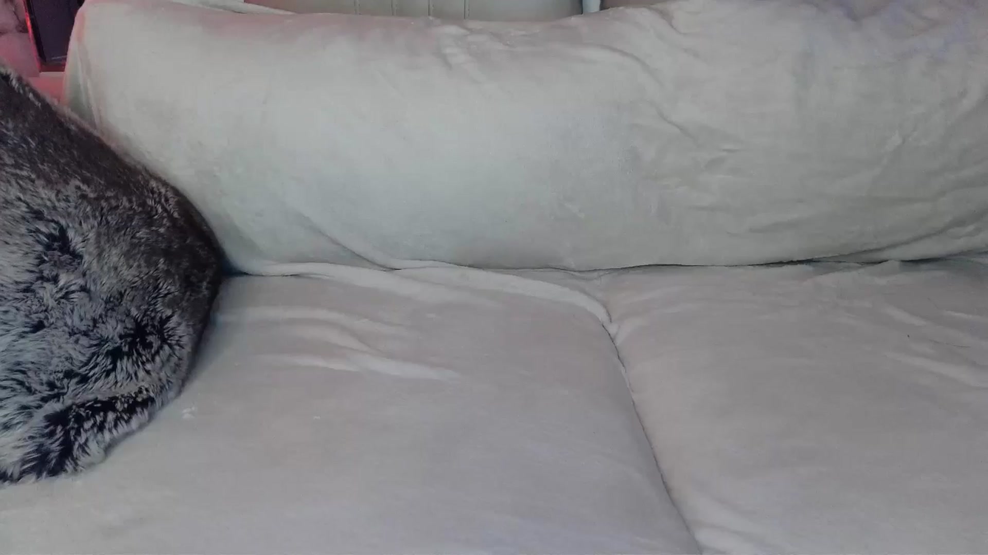 Gallery image thumbnail from UGLYGIRL_'s myfreecams stream on, 05/26/2024, 04:31 image 4 of 20