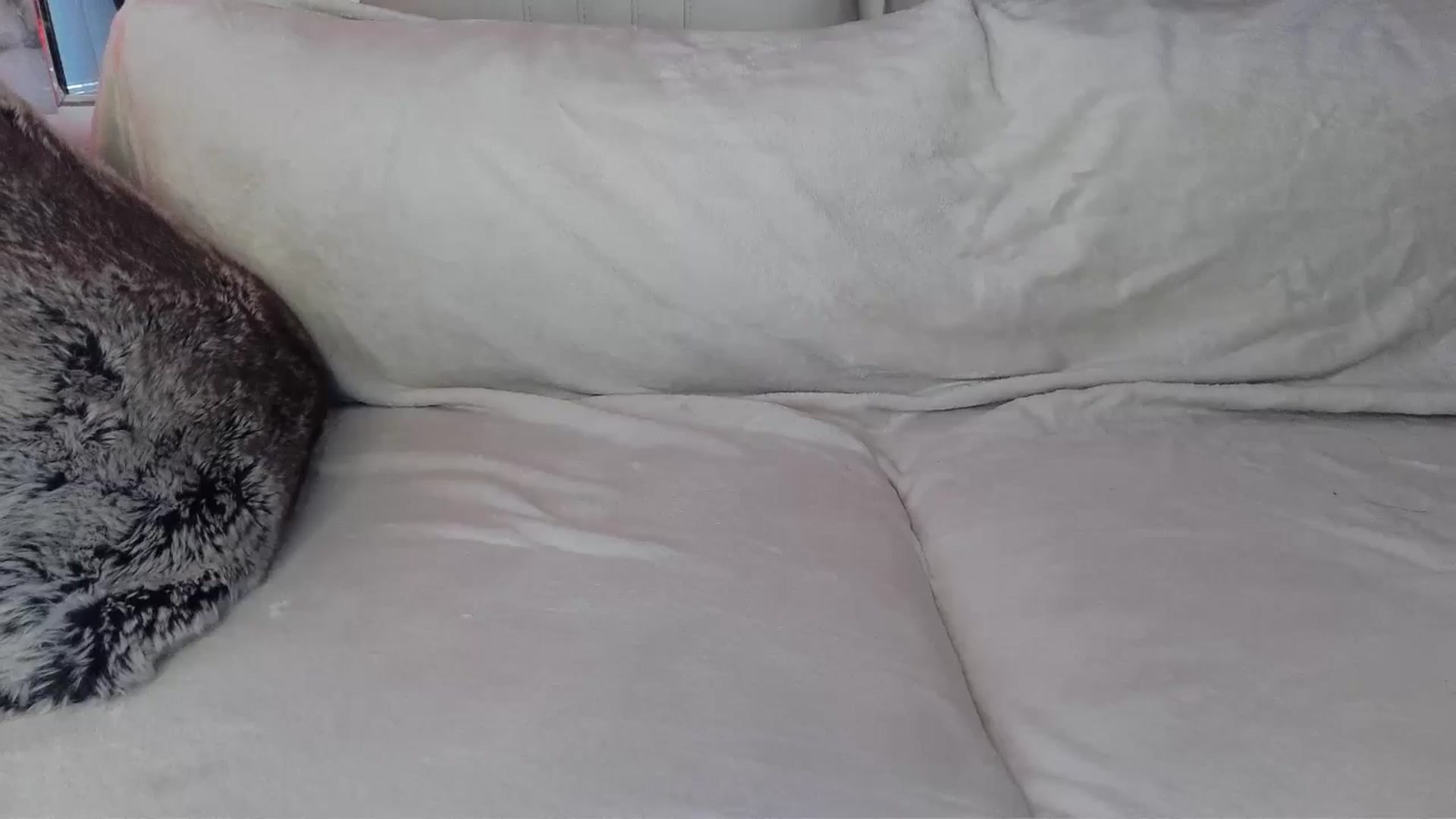 Gallery image thumbnail from UGLYGIRL_'s myfreecams stream on, 05/26/2024, 04:31 image 6 of 20