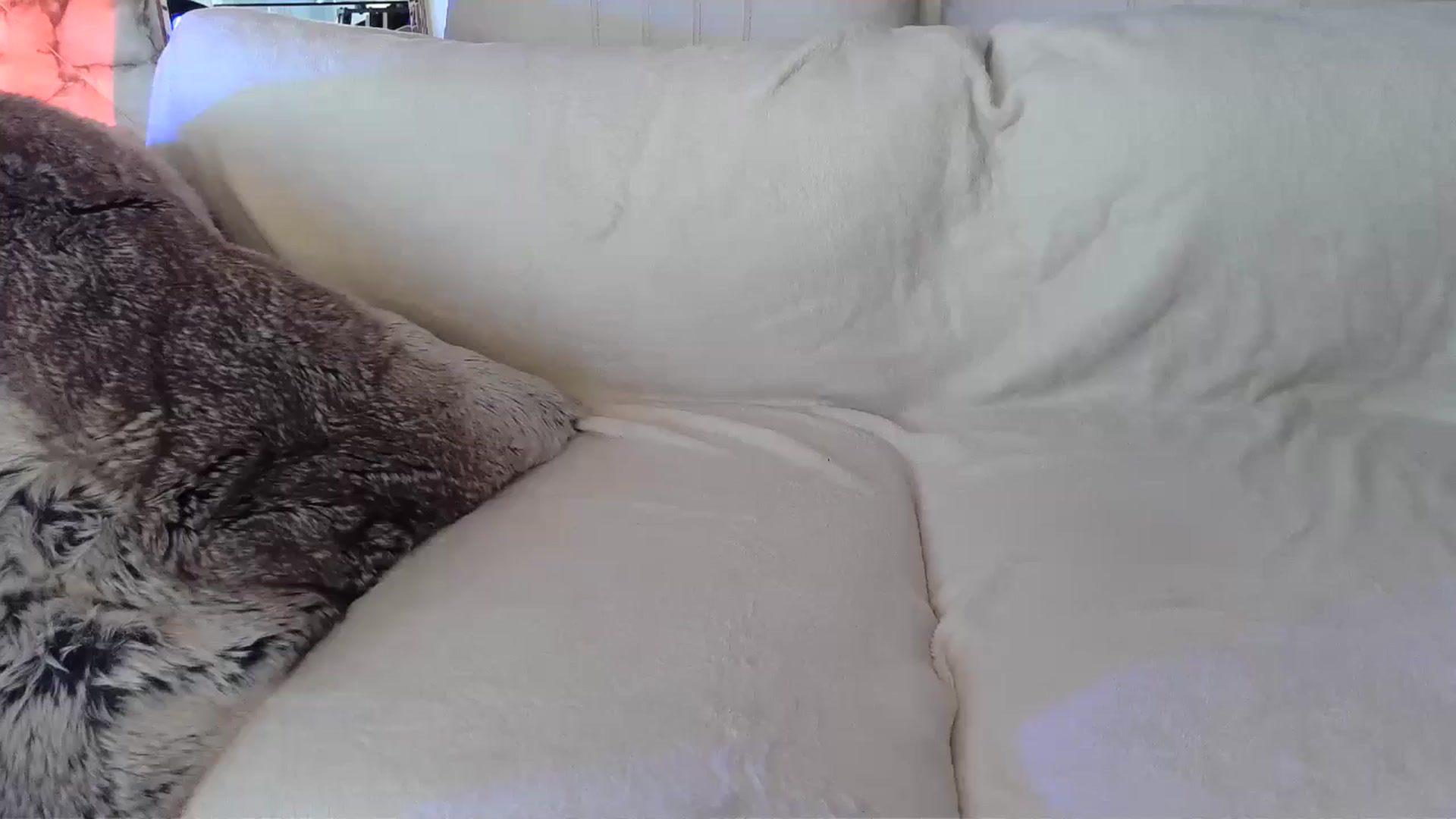 Gallery image thumbnail from UGLYGIRL_'s myfreecams stream on, 06/03/2024, 02:28 image 1 of 20