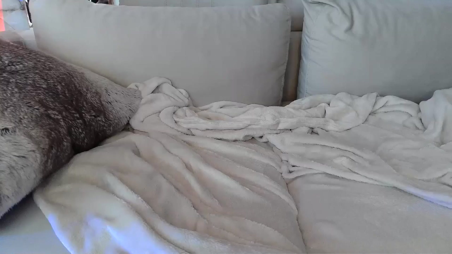 Gallery image thumbnail from UGLYGIRL_'s myfreecams stream on, 06/04/2024, 04:25 image 10 of 20