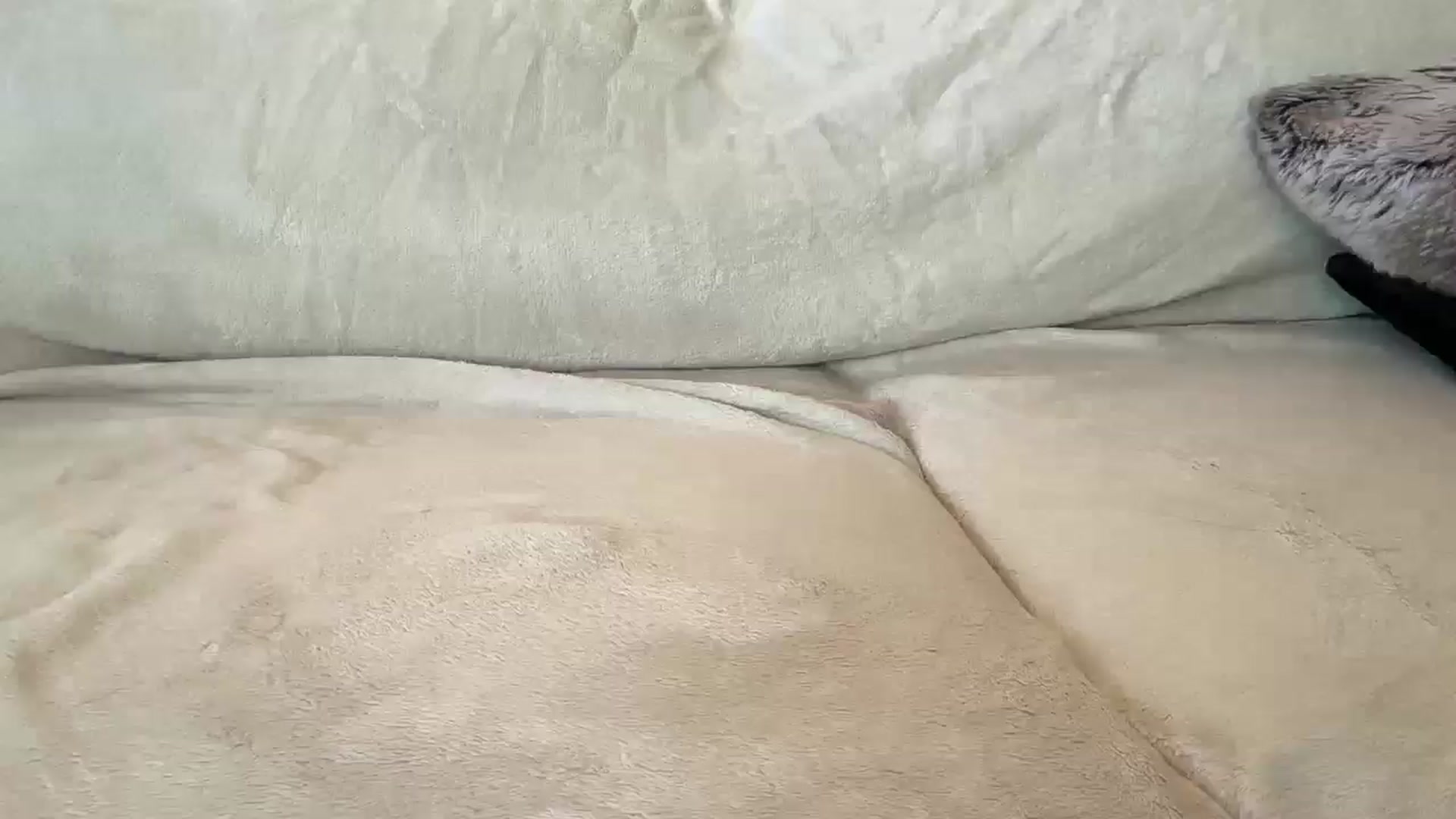Gallery image thumbnail from UGLYGIRL_'s myfreecams stream on, 06/27/2024, 02:32 image 19 of 20