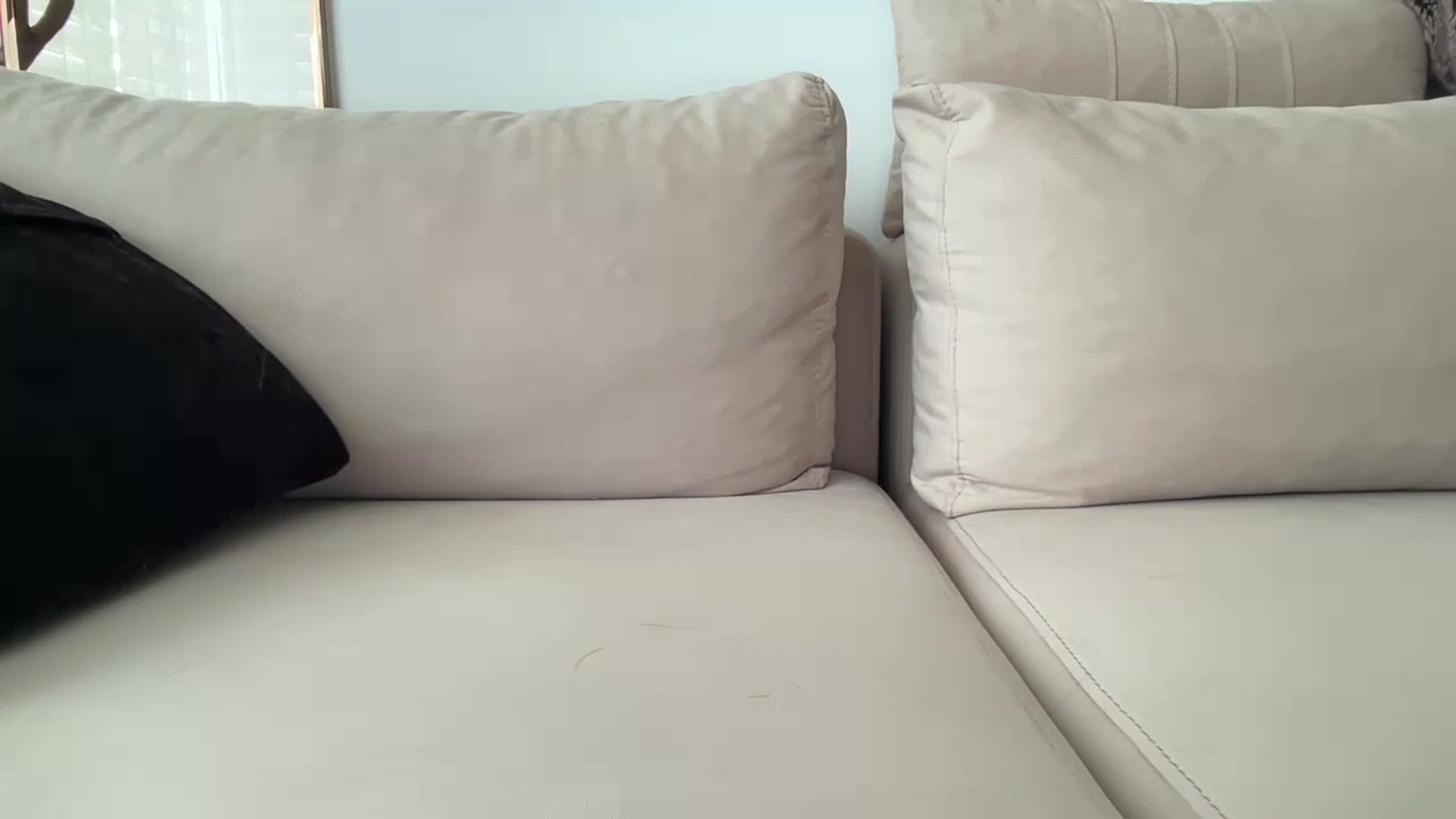 Gallery image thumbnail from UGLYGIRL_'s myfreecams stream on, 07/17/2024, 06:02 image 9 of 20