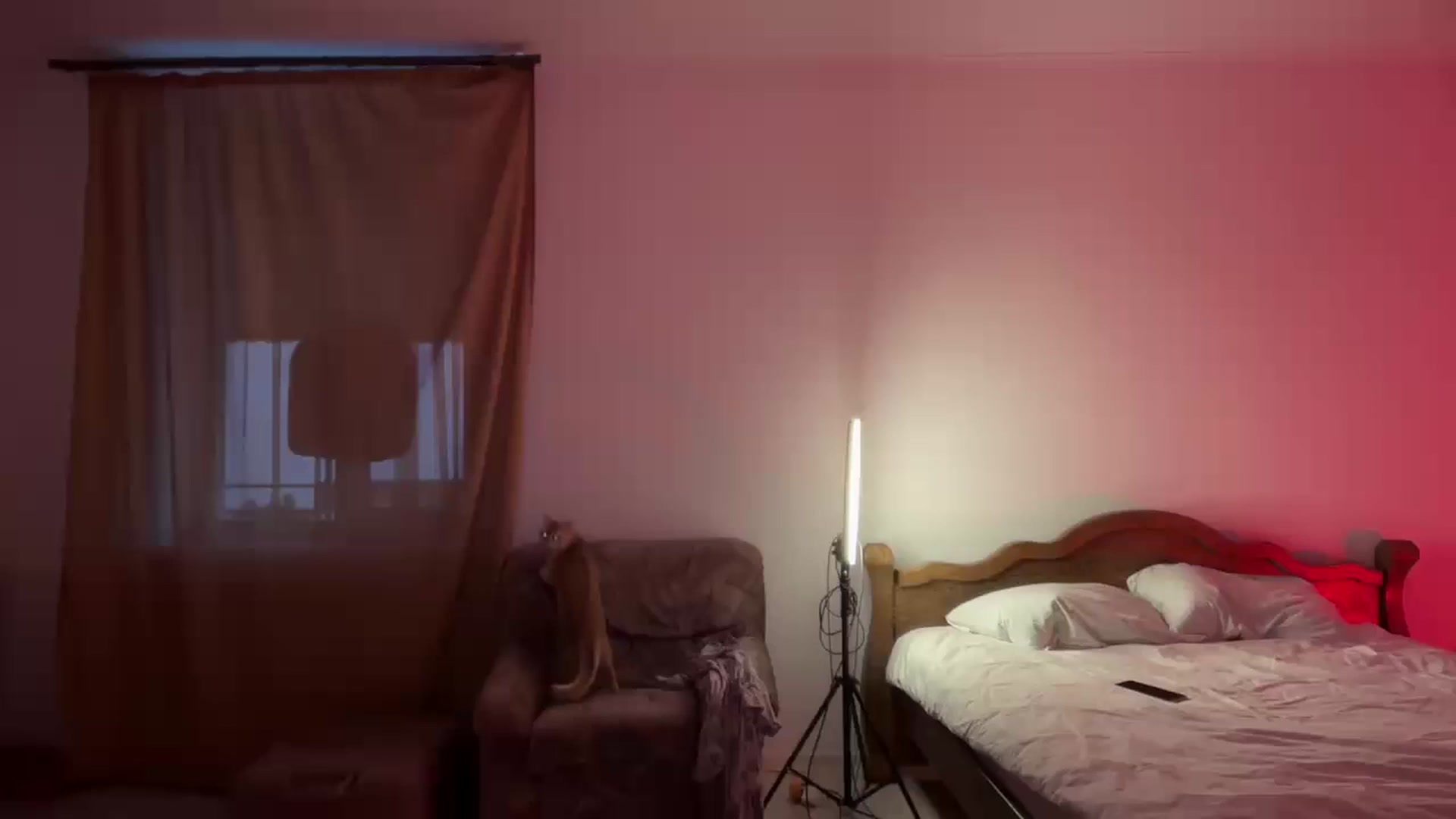 Gallery image thumbnail from UGLYGIRL_'s myfreecams stream on, 08/03/2024, 17:16 image 4 of 20