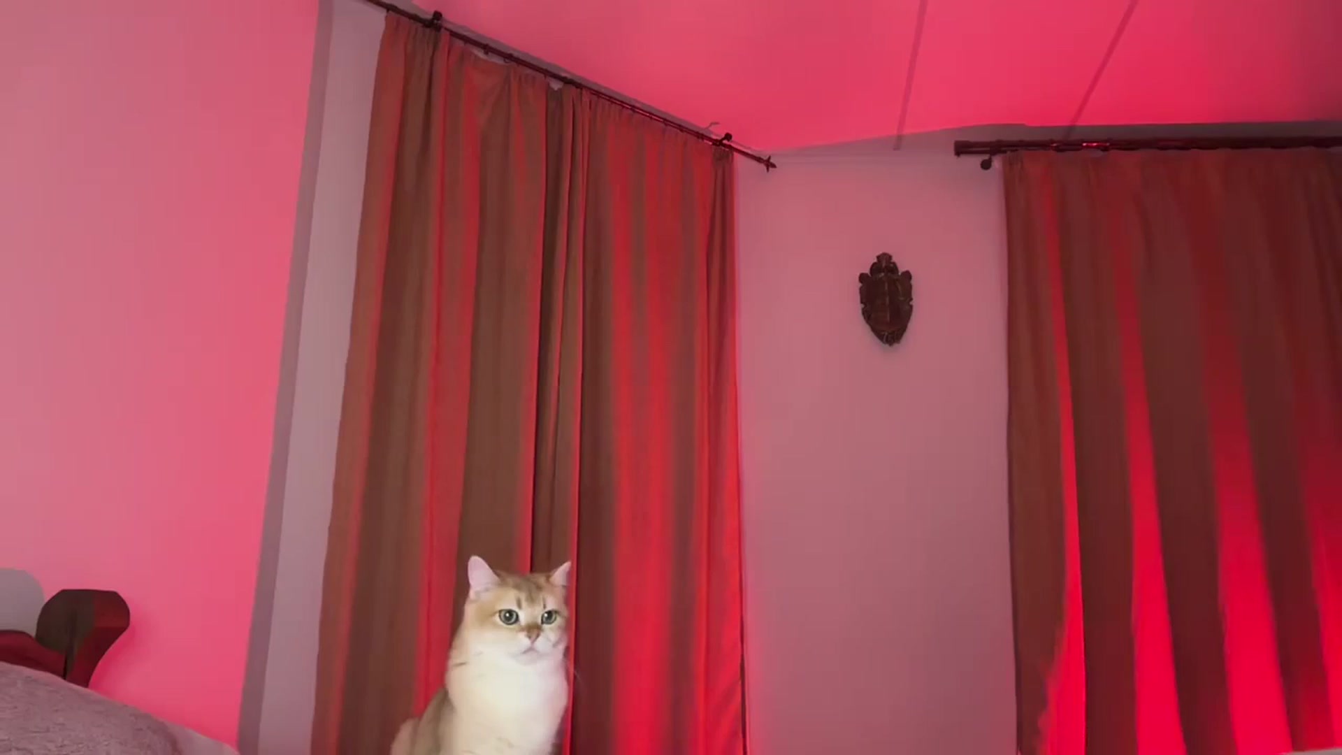 Gallery image thumbnail from UGLYGIRL_'s myfreecams stream on, 08/24/2024, 21:28 image 12 of 20