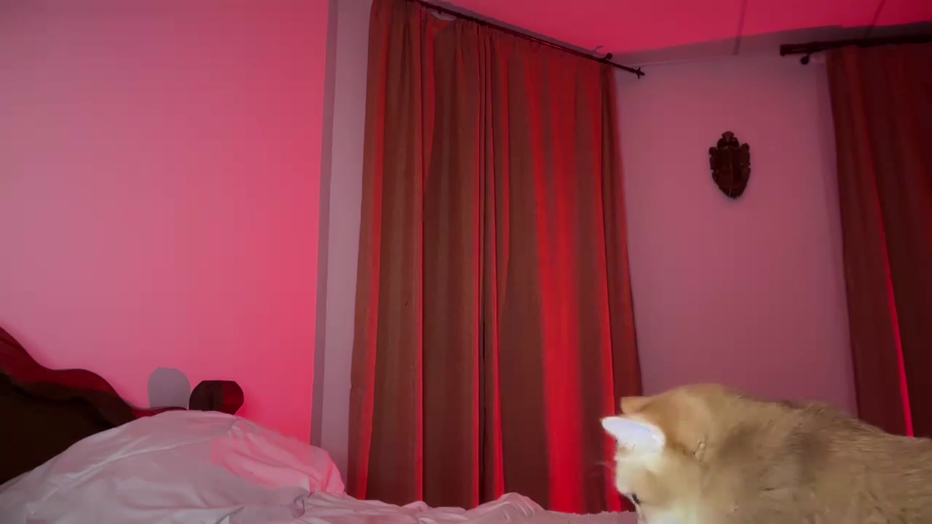 Gallery image thumbnail from UGLYGIRL_'s myfreecams stream on, 09/03/2024, 21:20 image 12 of 20