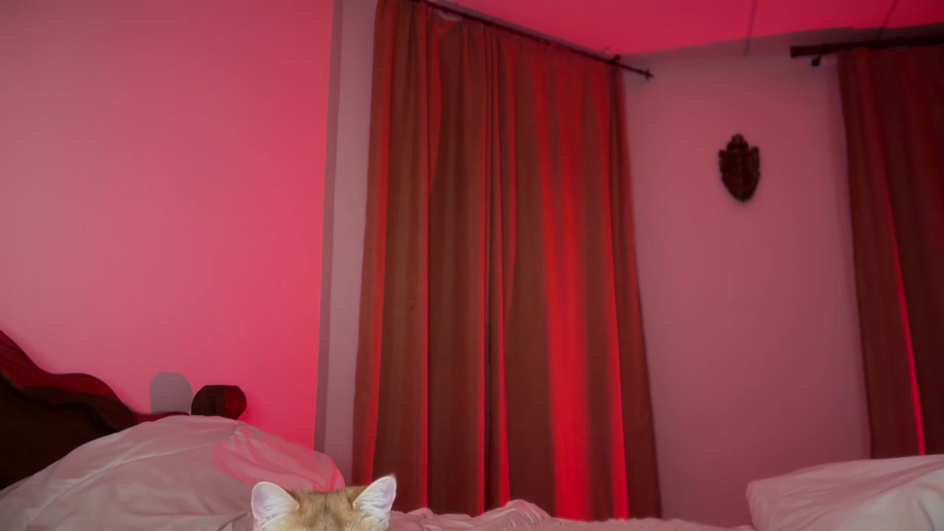 Gallery image thumbnail from UGLYGIRL_'s myfreecams stream on, 09/03/2024, 21:20 image 13 of 20