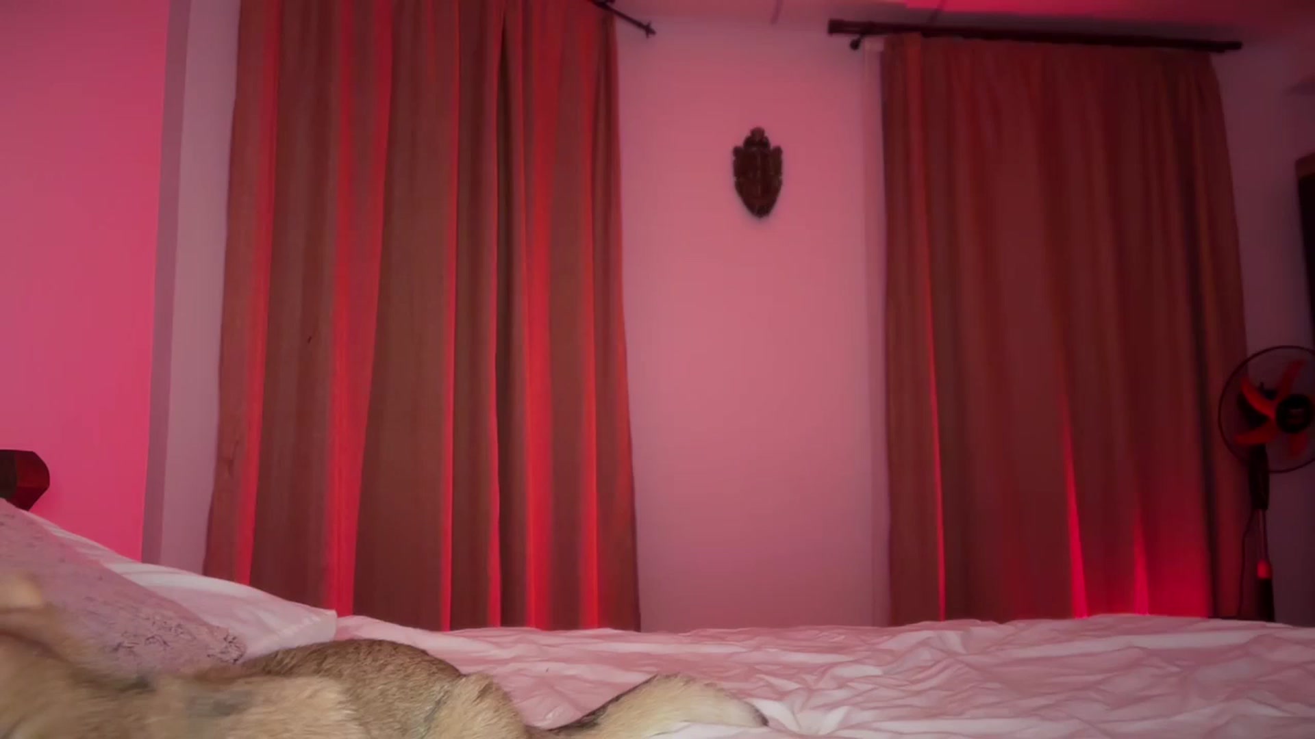 Gallery image thumbnail from UGLYGIRL_'s myfreecams stream on, 09/12/2024, 01:44 image 1 of 20