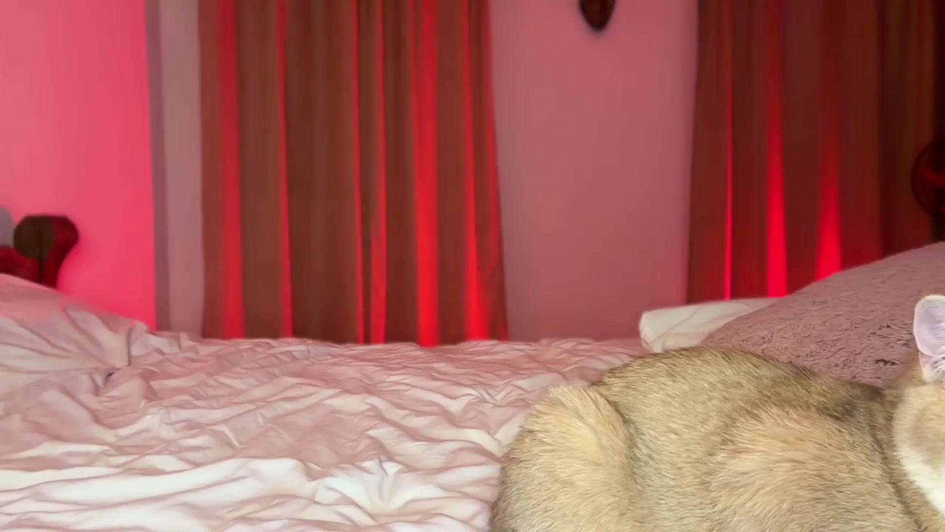 Gallery image thumbnail from UGLYGIRL_'s myfreecams stream on, 09/18/2024, 23:01 image 3 of 20