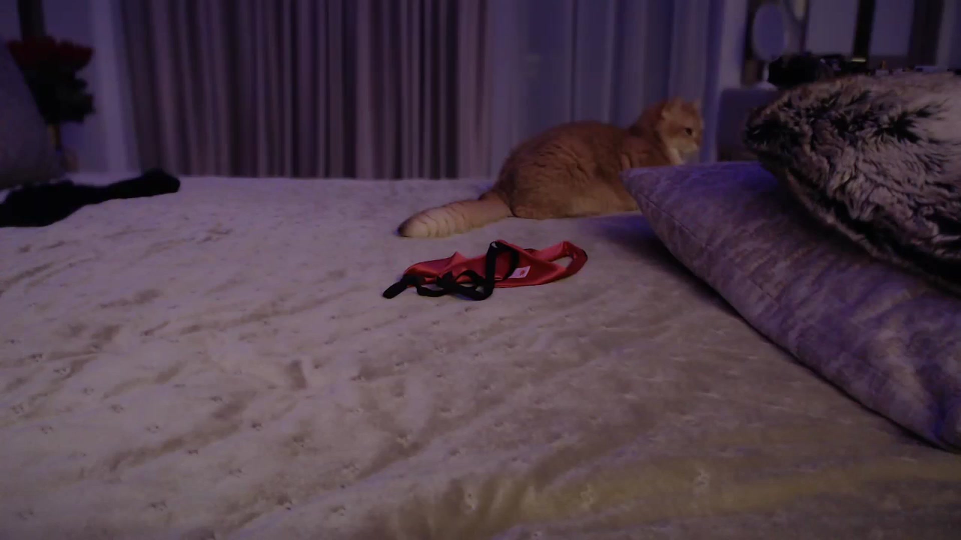 Gallery image thumbnail from UGLYGIRL_'s myfreecams stream on, 10/16/2024, 23:31 image 16 of 20