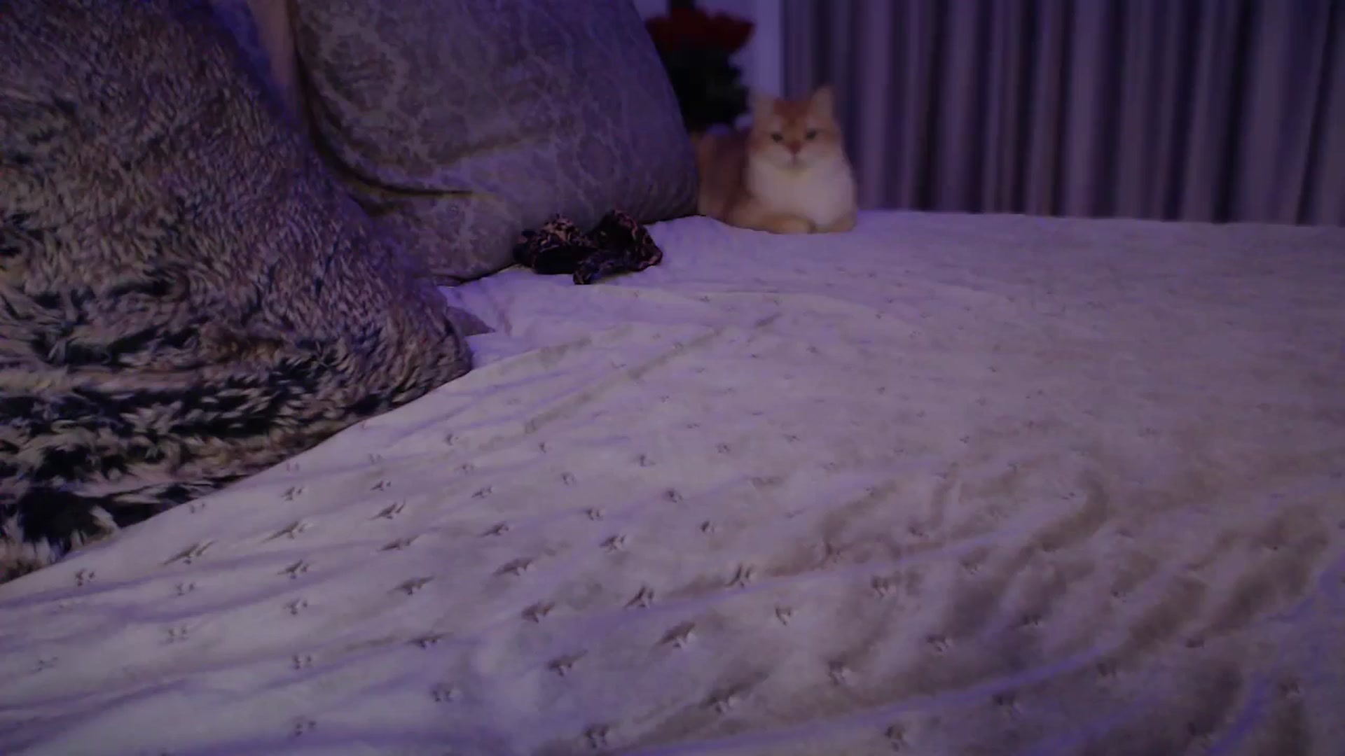 Gallery image thumbnail from UGLYGIRL_'s myfreecams stream on, 10/18/2024, 05:11 image 13 of 20