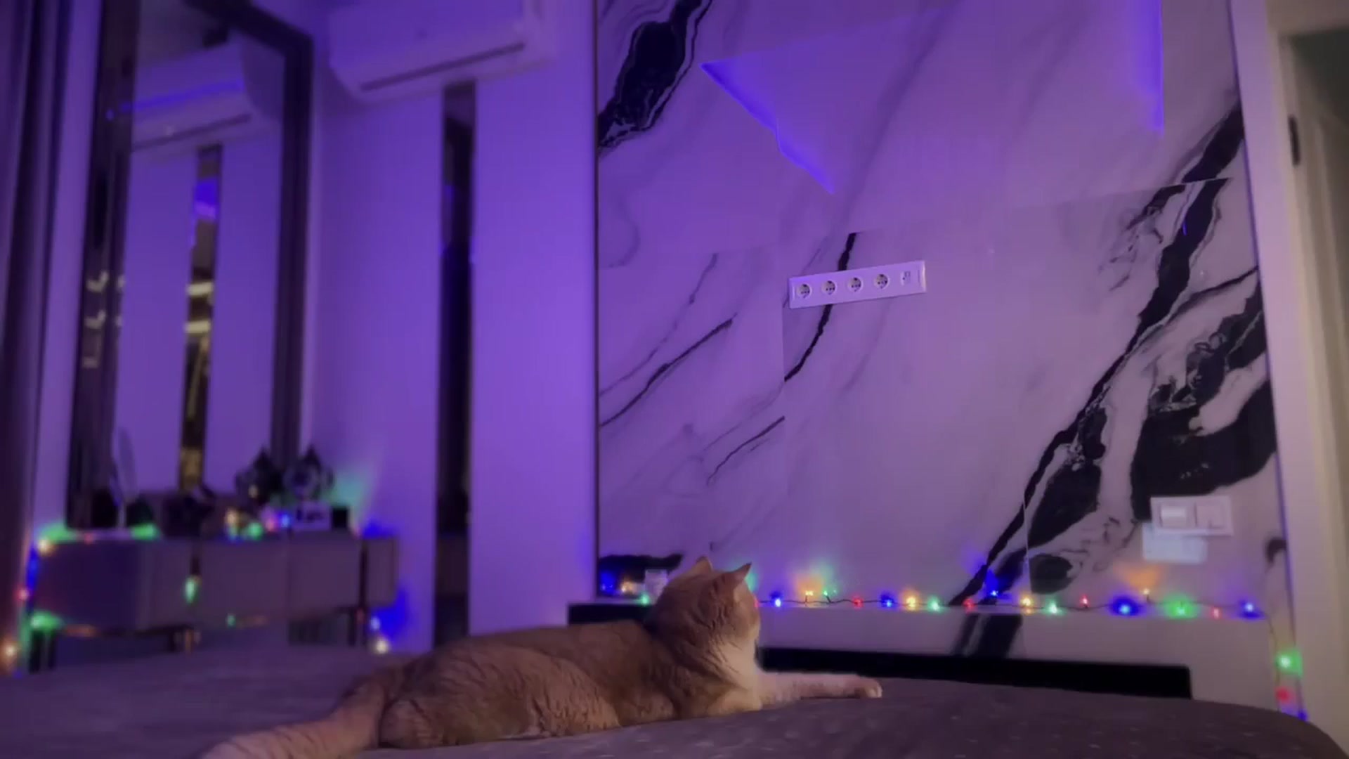 Gallery image thumbnail from UGLYGIRL_'s myfreecams stream on, 10/24/2024, 19:13 image 1 of 20
