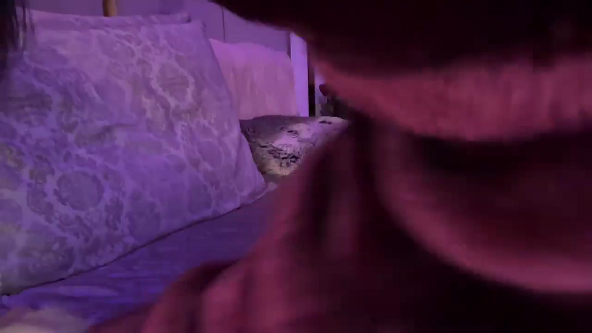 Gallery image thumbnail from UGLYGIRL_'s myfreecams stream on, 10/28/2024, 24:02 image 15 of 20