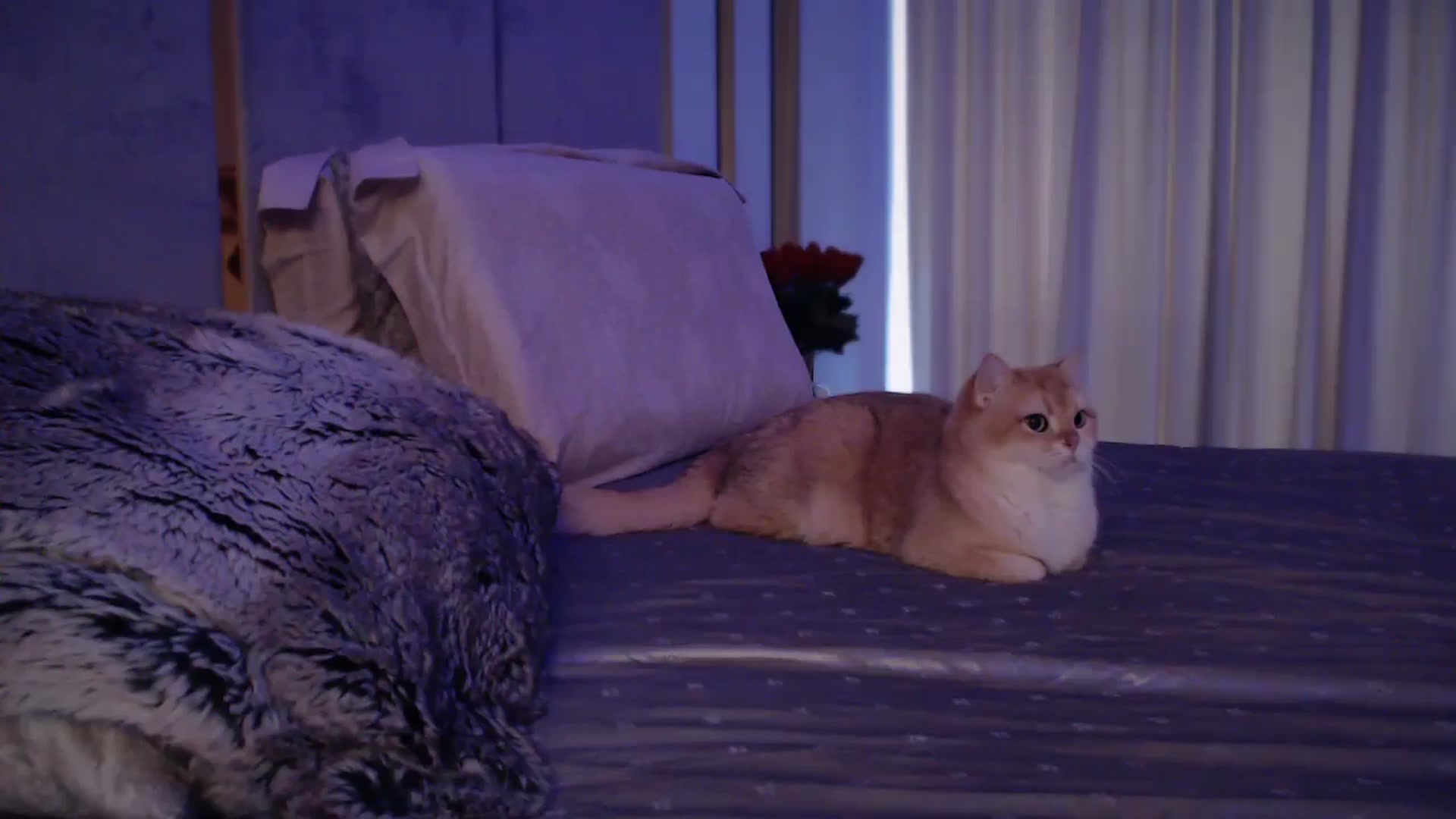 Gallery image thumbnail from UGLYGIRL_'s myfreecams stream on, 10/30/2024, 06:40 image 1 of 20
