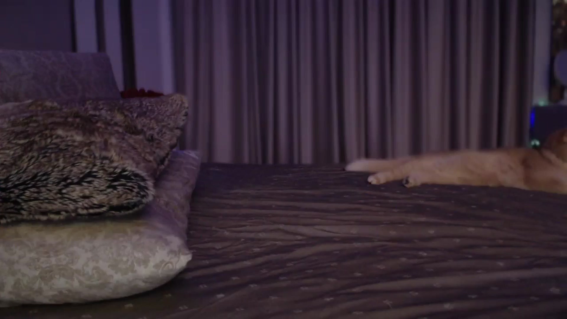 Gallery image thumbnail from UGLYGIRL_'s myfreecams stream on, 11/02/2024, 23:16 image 2 of 20