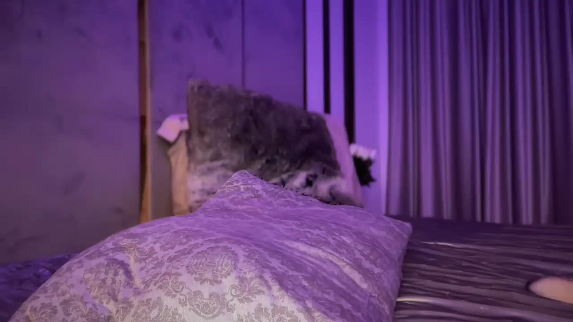 Gallery image thumbnail from UGLYGIRL_'s myfreecams stream on, 11/10/2024, 01:01 image 7 of 20