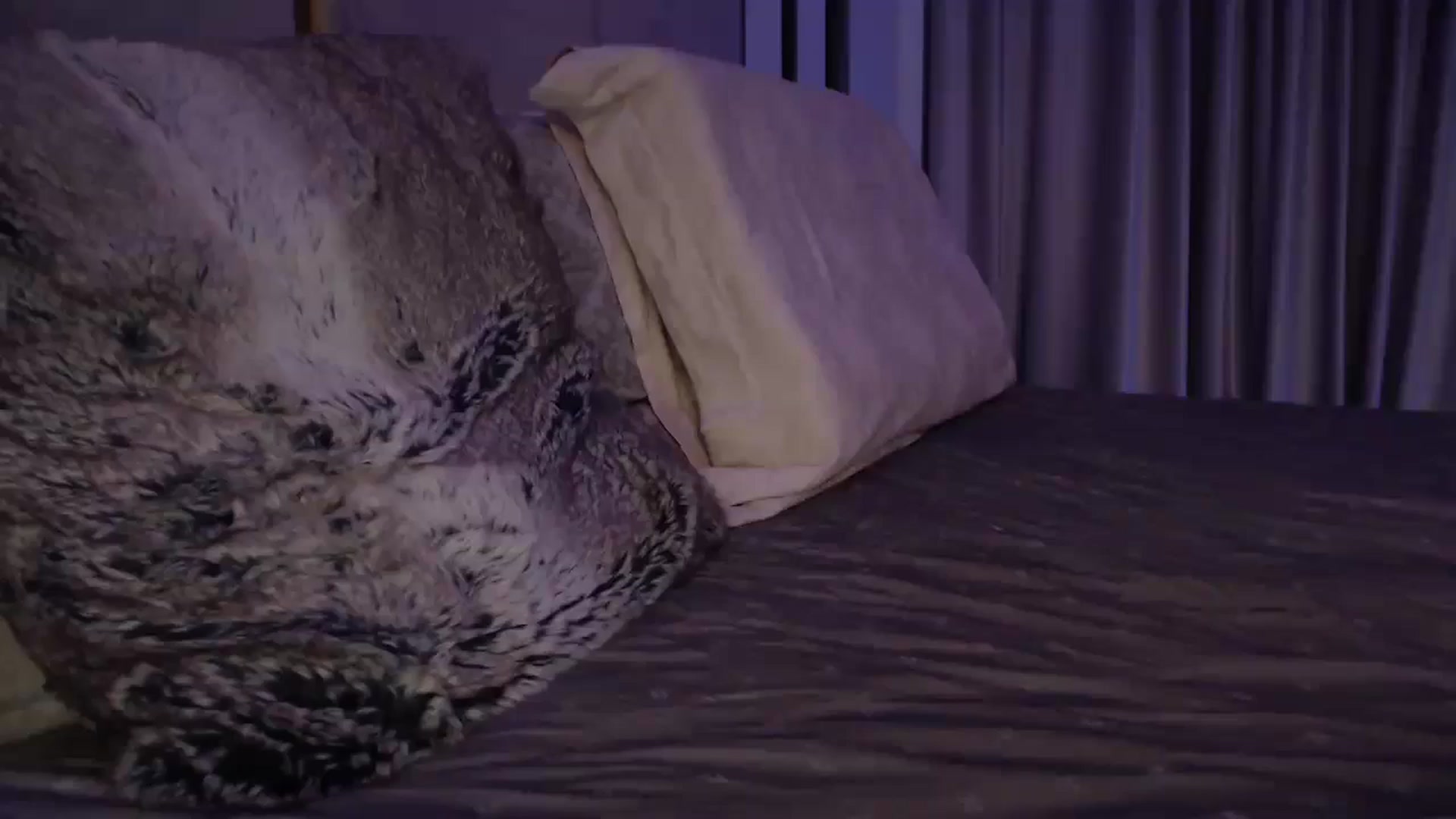 Gallery image thumbnail from UGLYGIRL_'s myfreecams stream on, 11/22/2024, 01:57 image 19 of 20