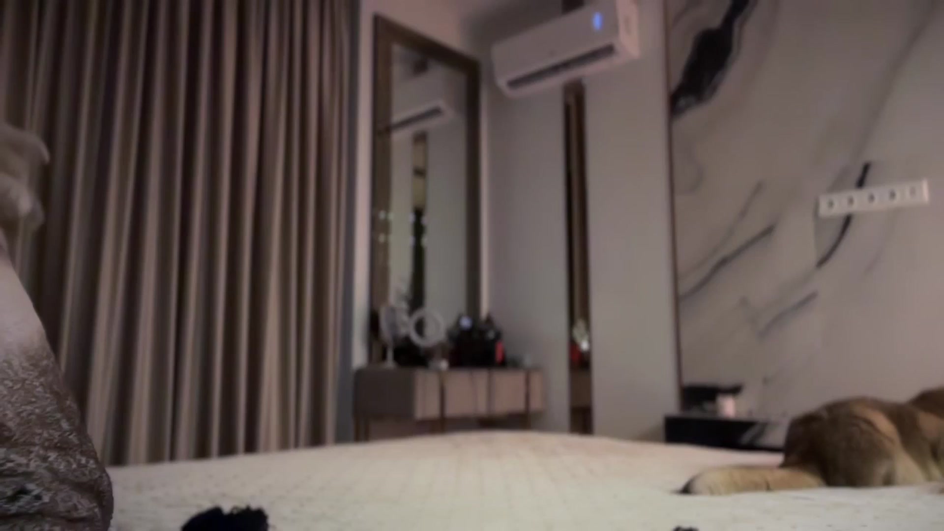 Gallery image thumbnail from UGLYGIRL_'s myfreecams stream on, 12/14/2024, 21:05 image 15 of 20