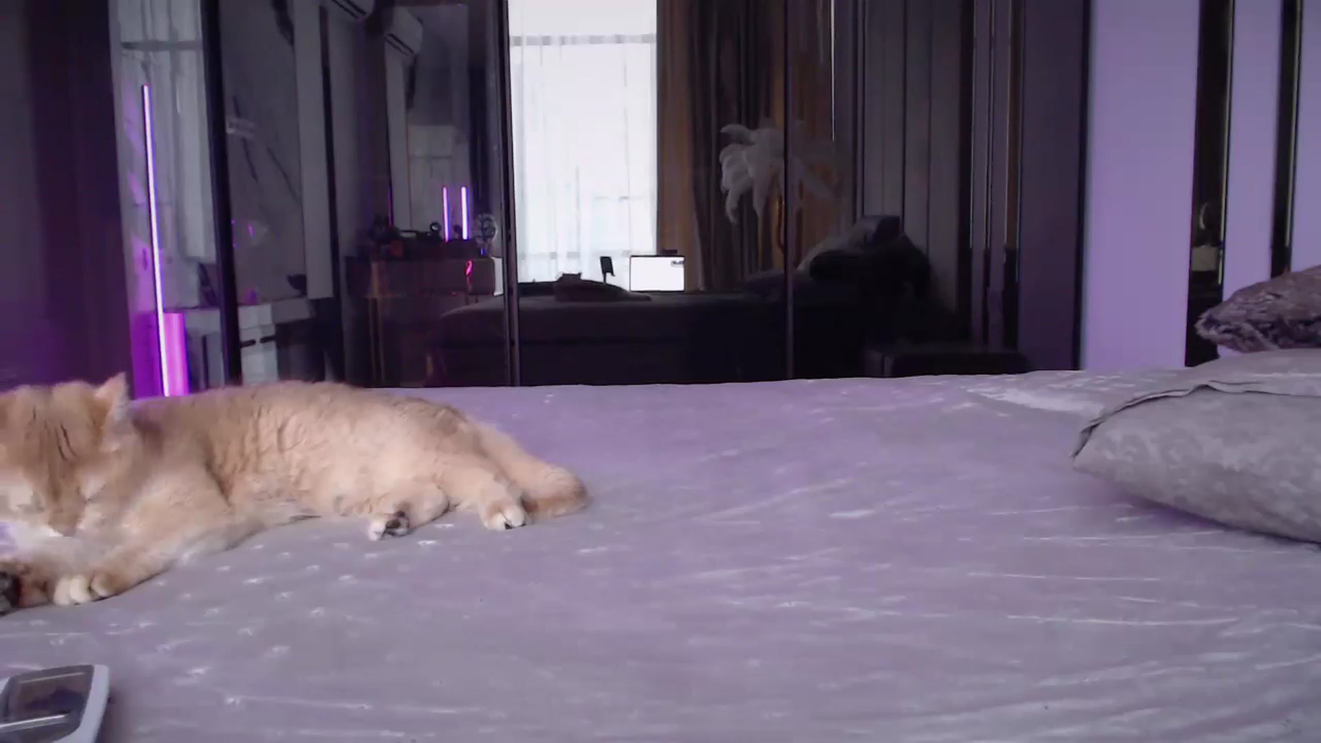 Gallery image thumbnail from UGLYGIRL_'s myfreecams stream on, 12/29/2024, 12:04 image 2 of 20